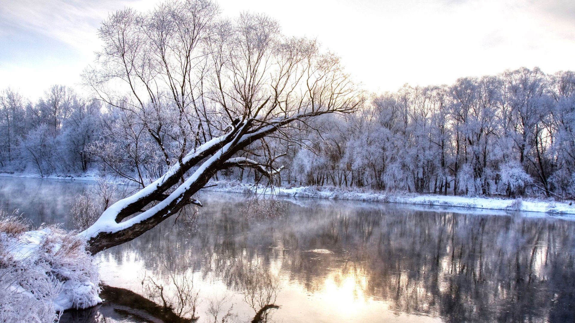 开阔,风景,阳光,大气,旅游,风光,冰天雪地,儿童桌面专用