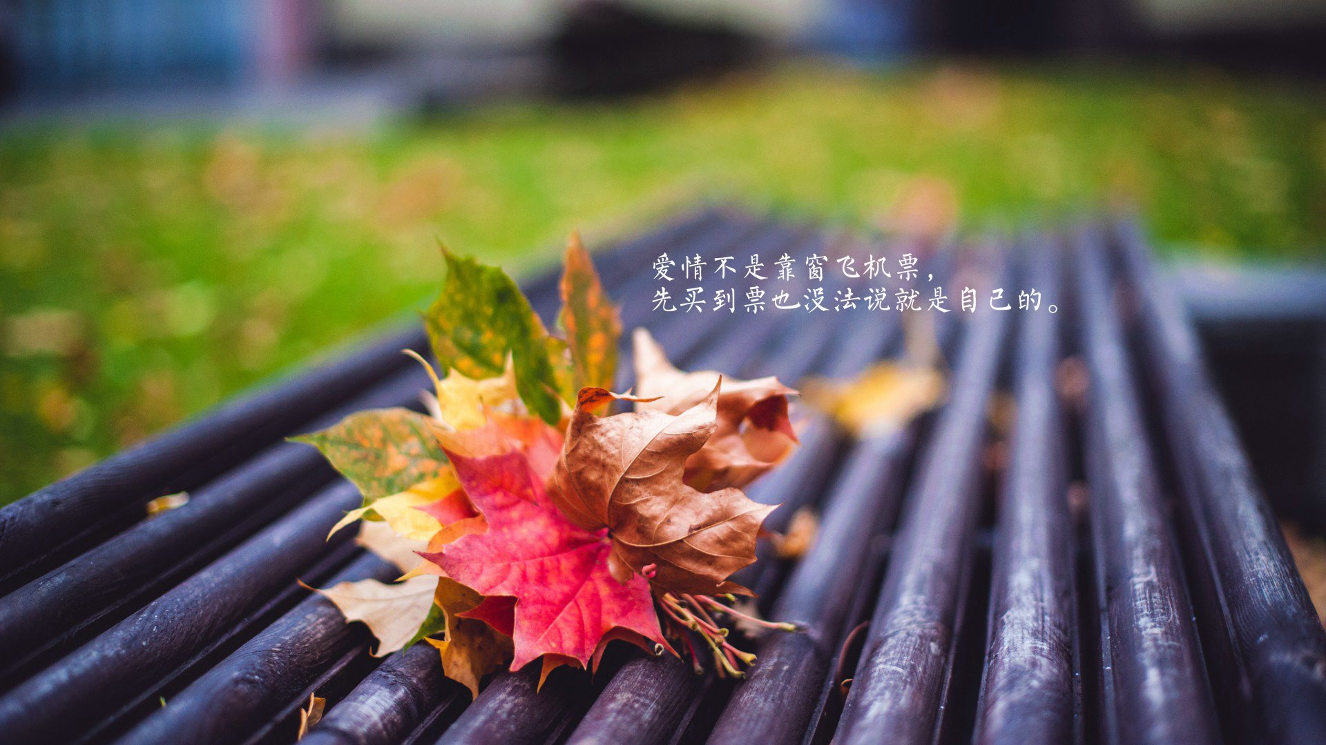 爱情美图,爱情箴言,邻家花美男,台词