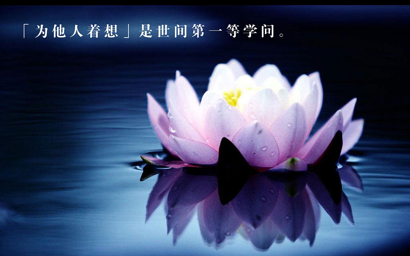 小清新,清新淡雅,荷花,佛教主题,1月21日,儿童桌面专用