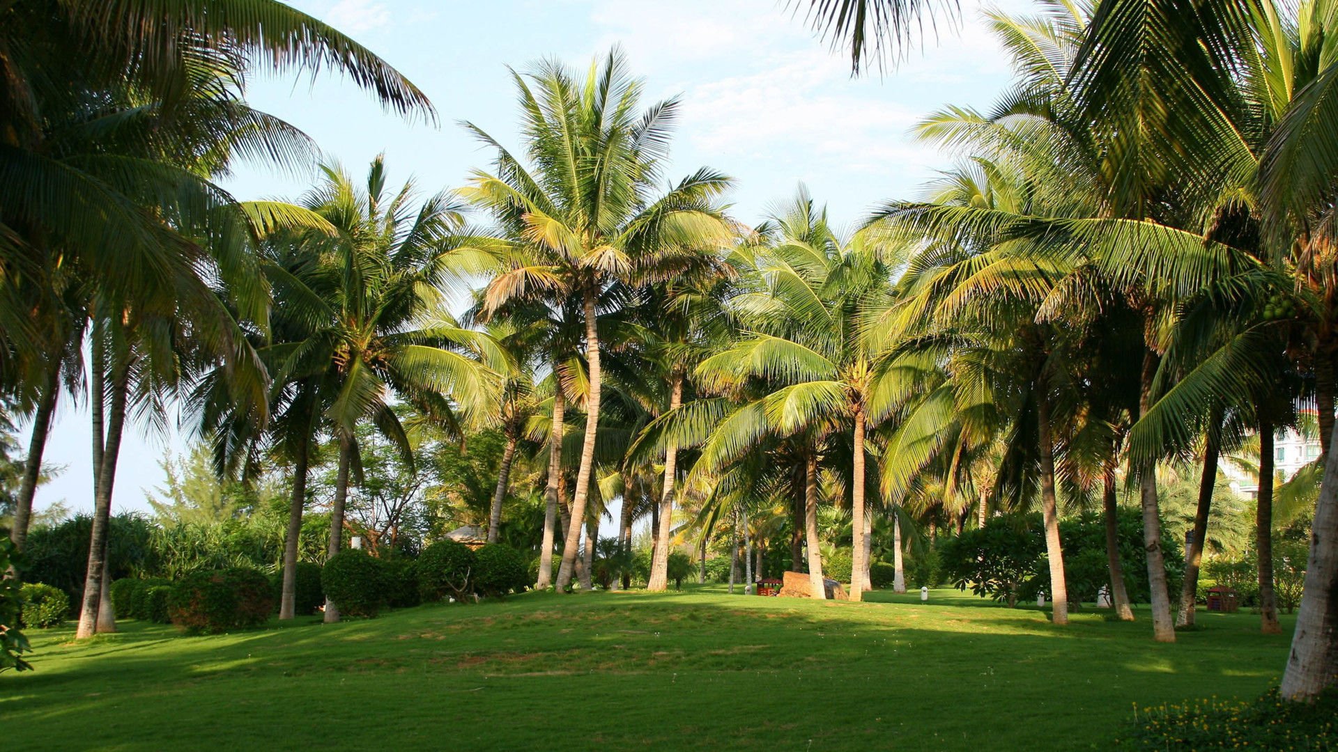 壮阔,风光,美景,旅游,自然,开阔风景,儿童桌面专用