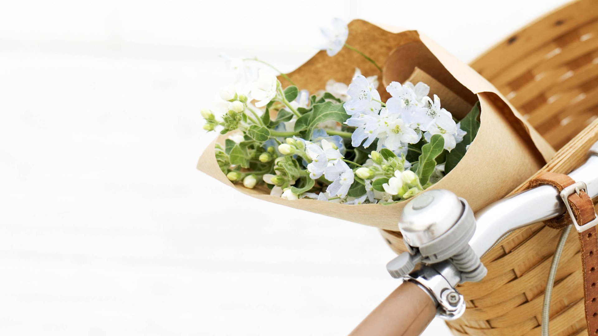 小清新,静物写真,花束,1月25日,儿童桌面专用