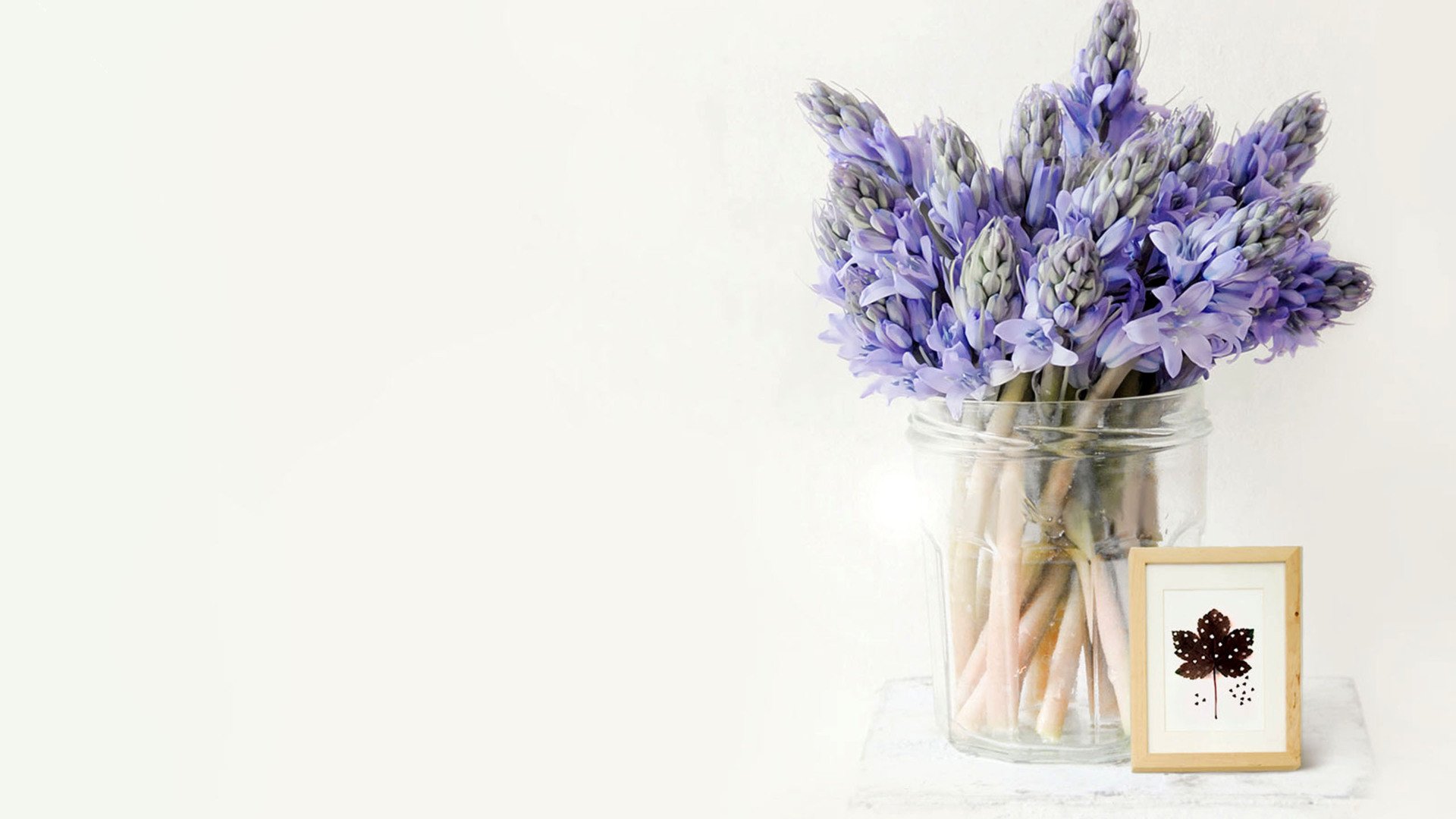 小清新,静物写真,1月21日,儿童桌面专用