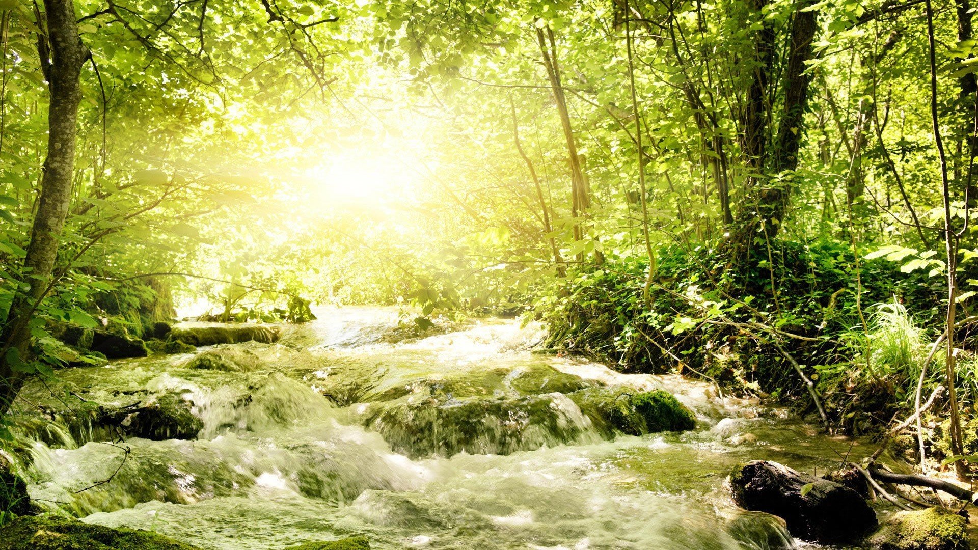 风景,风光,美景,旅游,自然,开阔风景,儿童桌面专用