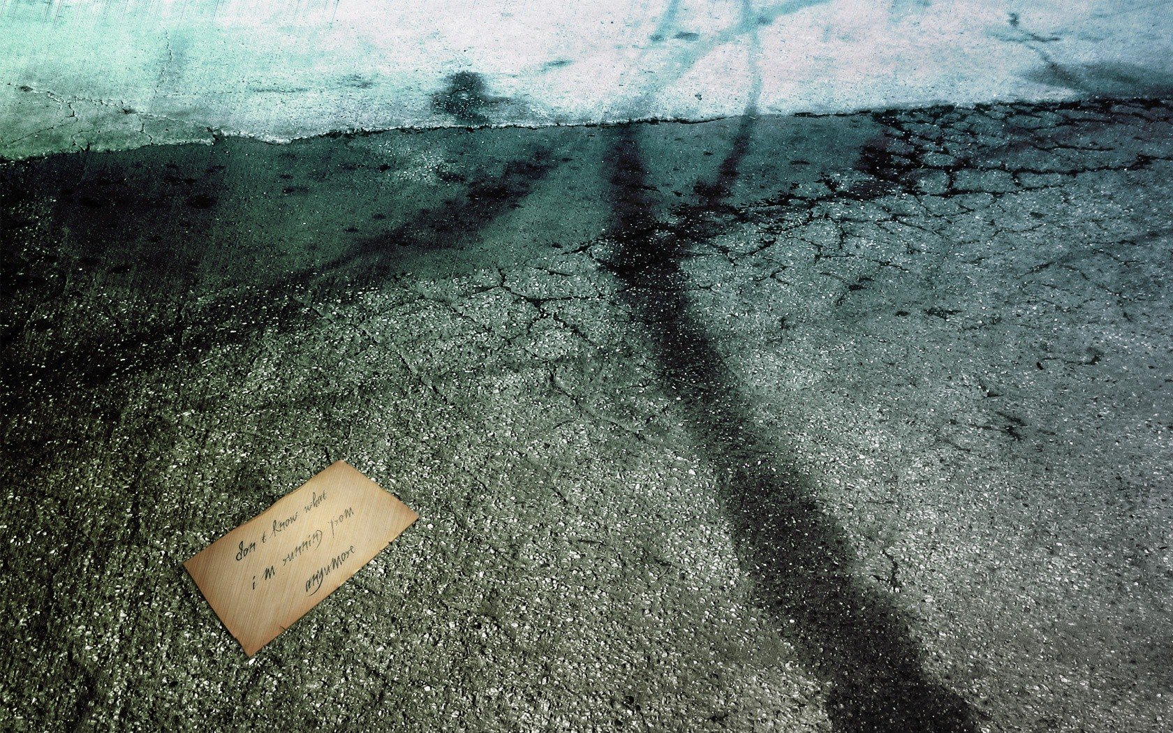 小清新,静物写真,1月15日