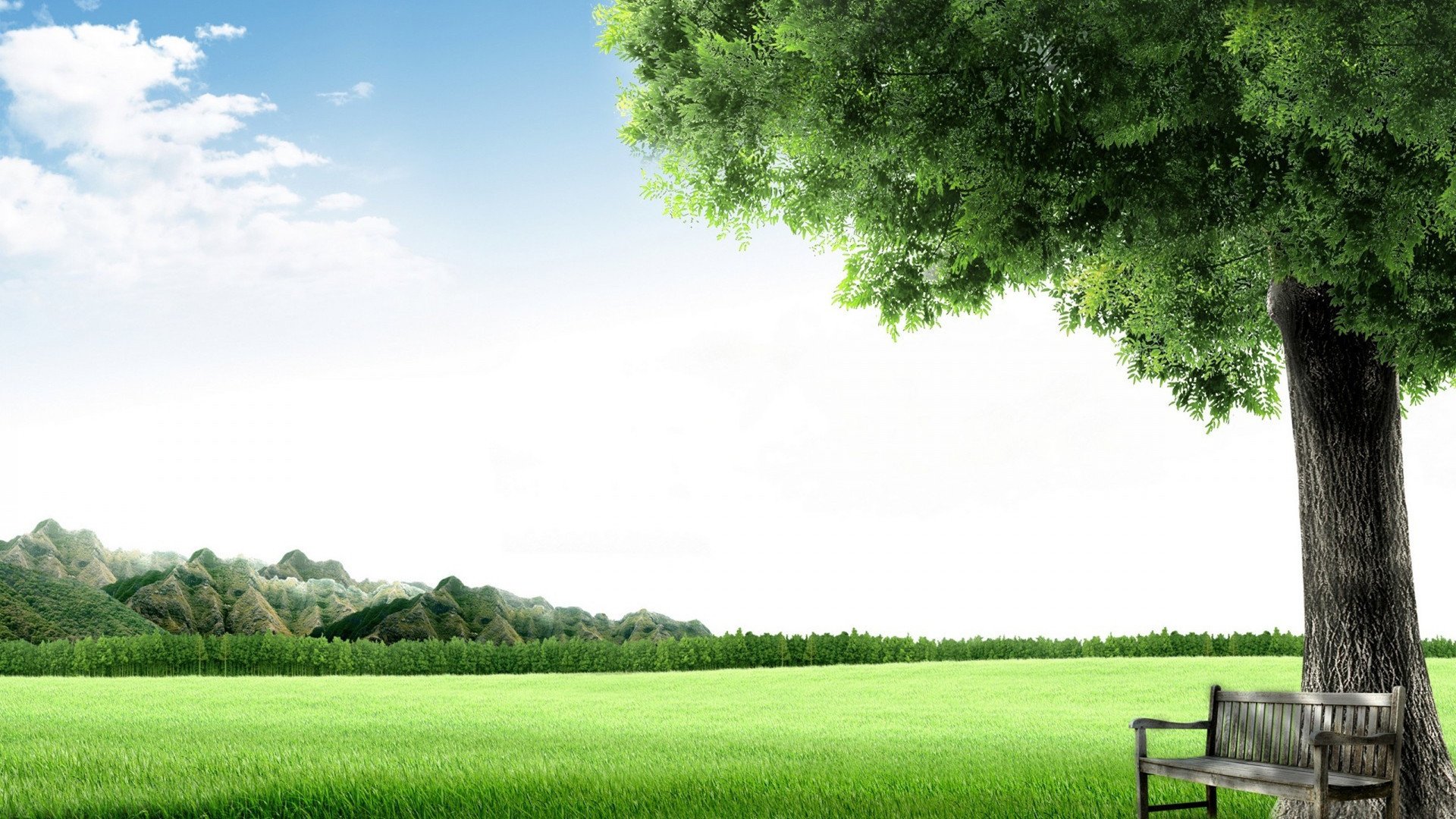 小清新,舒缓压力,绿色,1月28日,儿童桌面专用