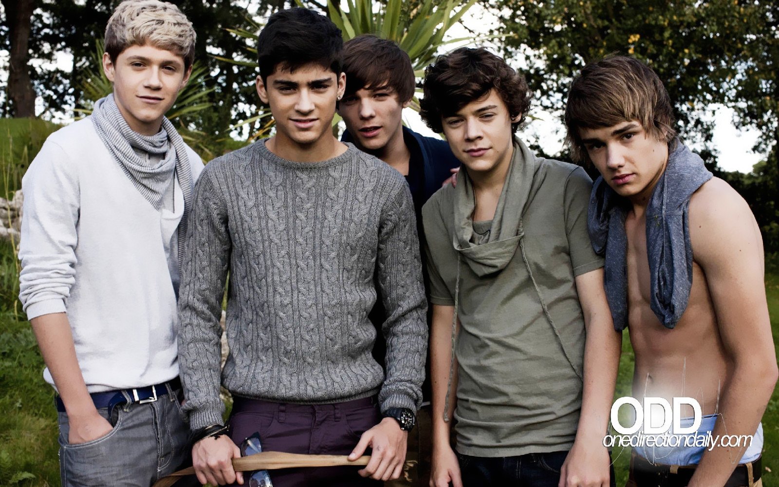 欧美,男明星,偶像团体,单向乐队,One,Direction,1月22日