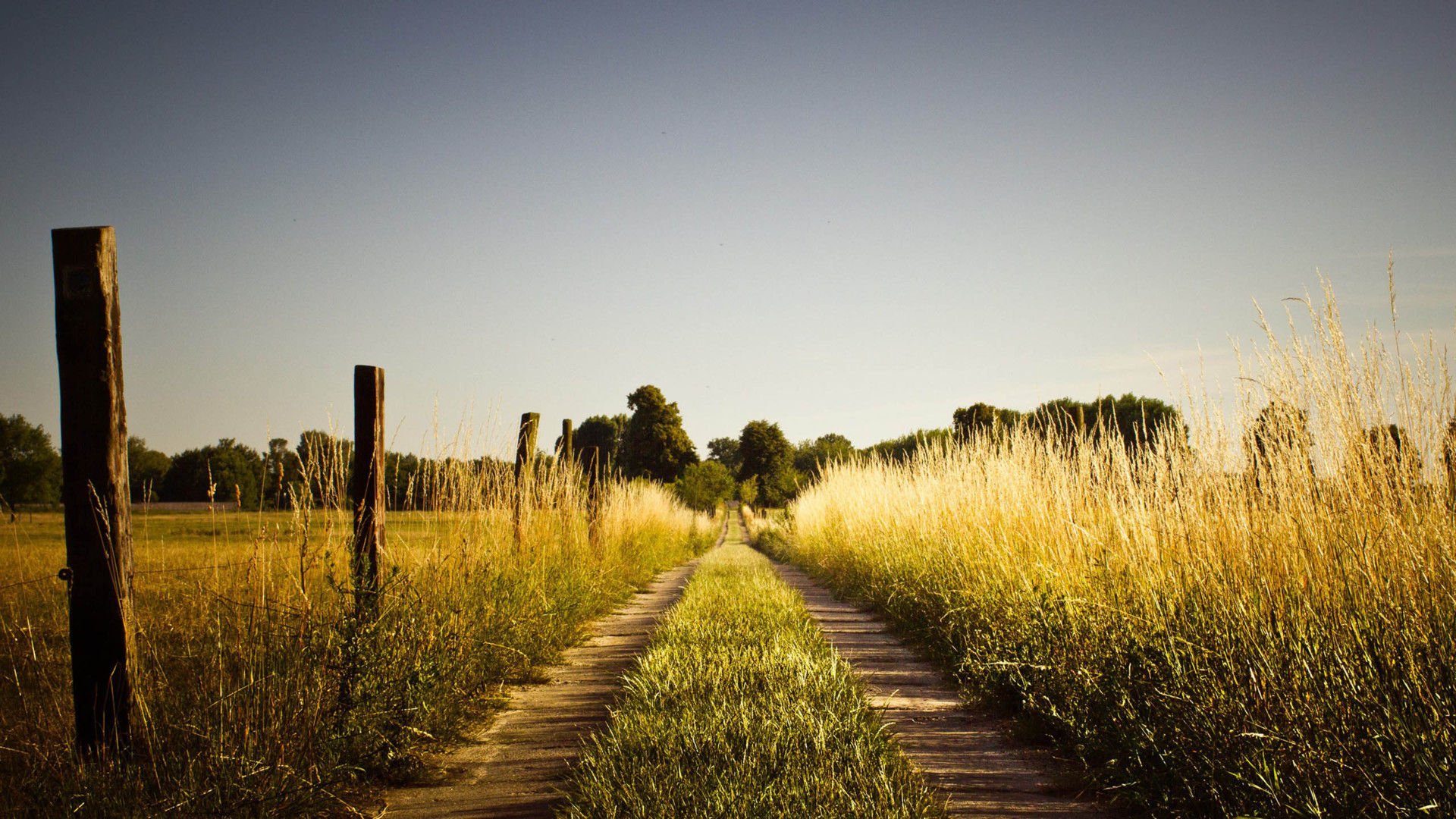 风景,风光,美景,旅游,自然,开阔风景,儿童桌面专用