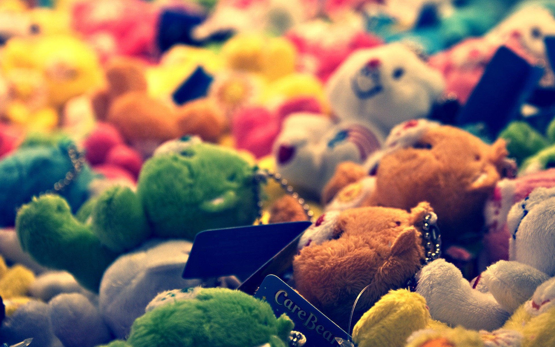 小清新,静物写真,玩偶,1月28日,儿童桌面专用