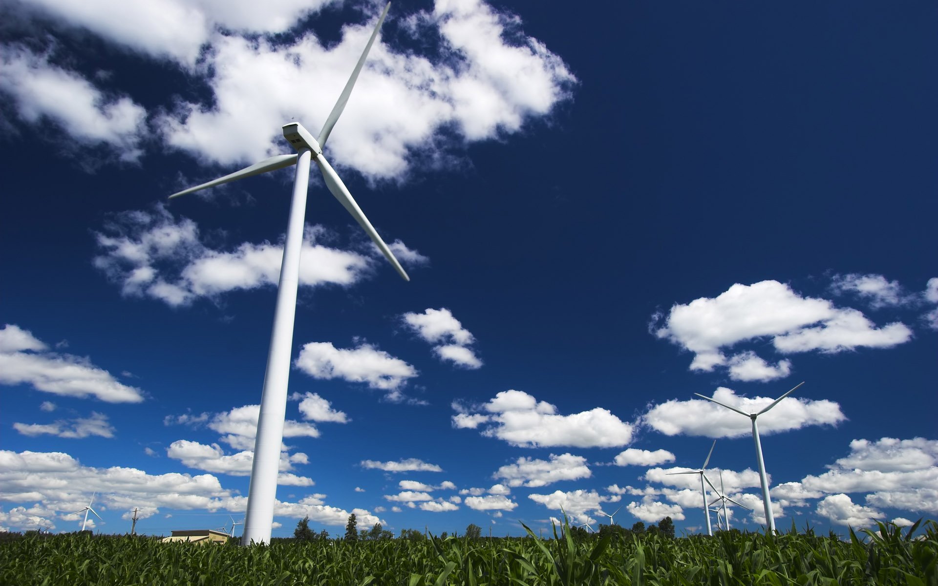 小清新,静物写真,风车,一月九日,儿童桌面专用