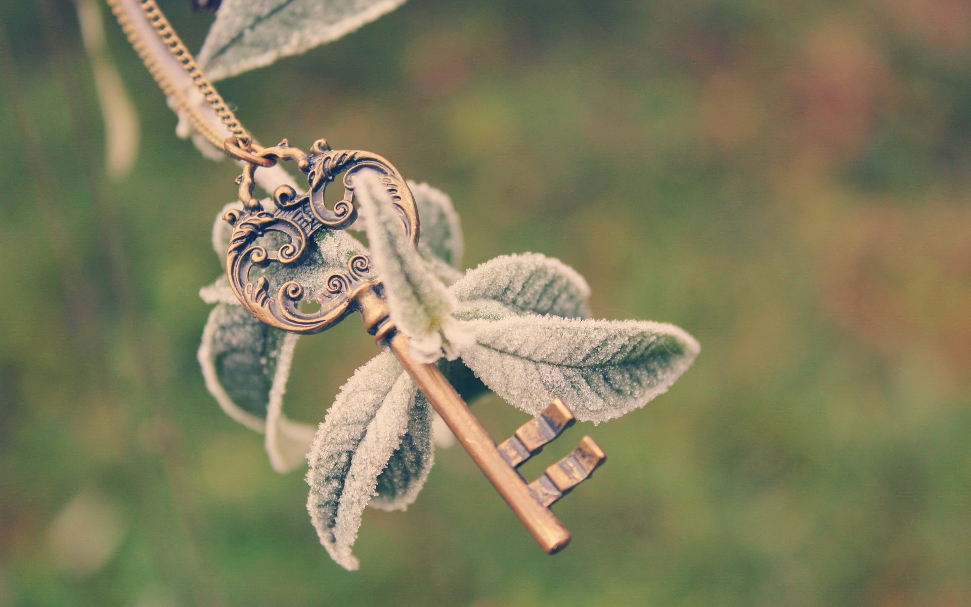 小清新,静物写真,1月16日,儿童桌面专用