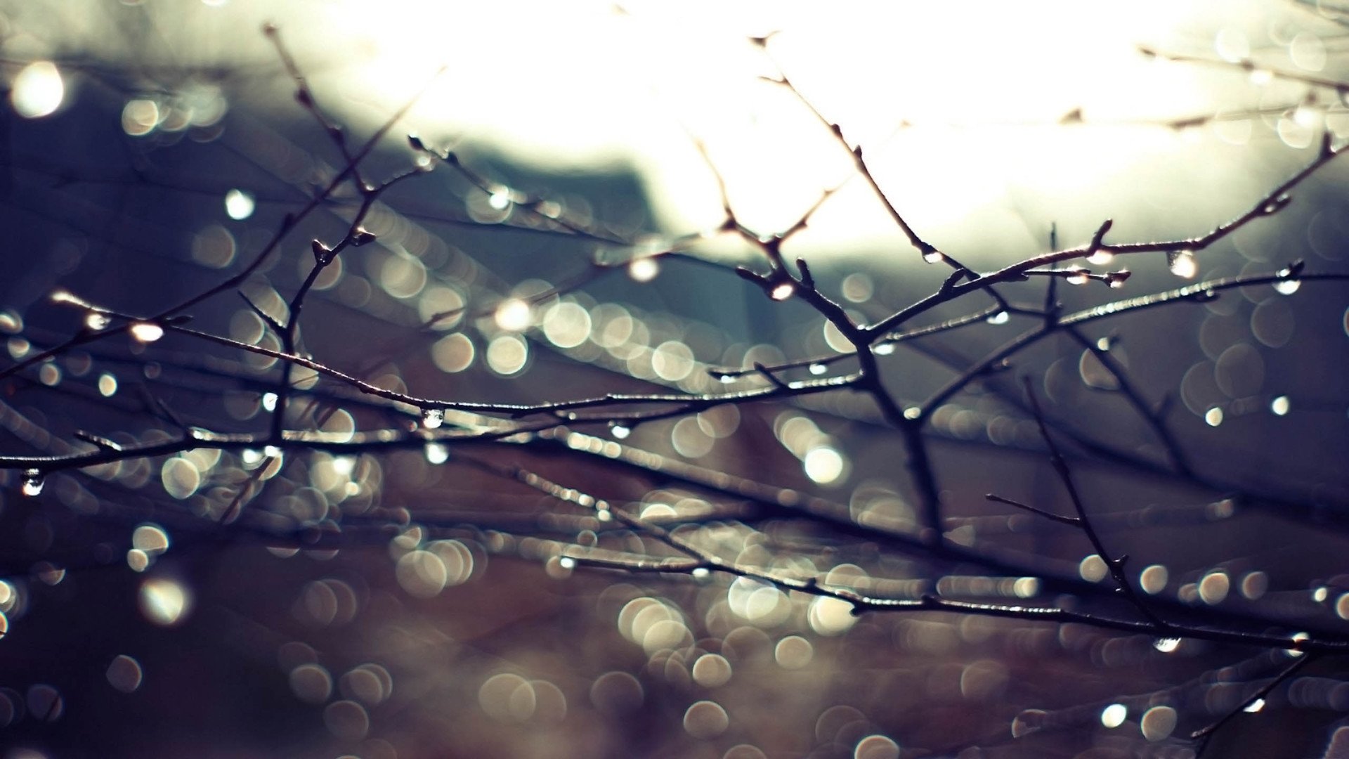 小清新,清新淡雅,1月23日,儿童桌面专用