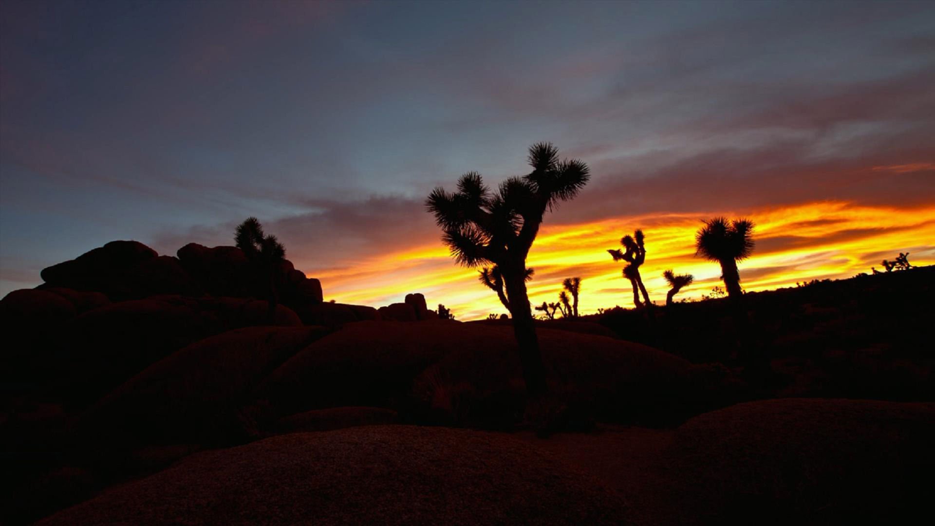 开阔,风景,阳光,大气,旅游,风光,落日余晖,儿童桌面专用