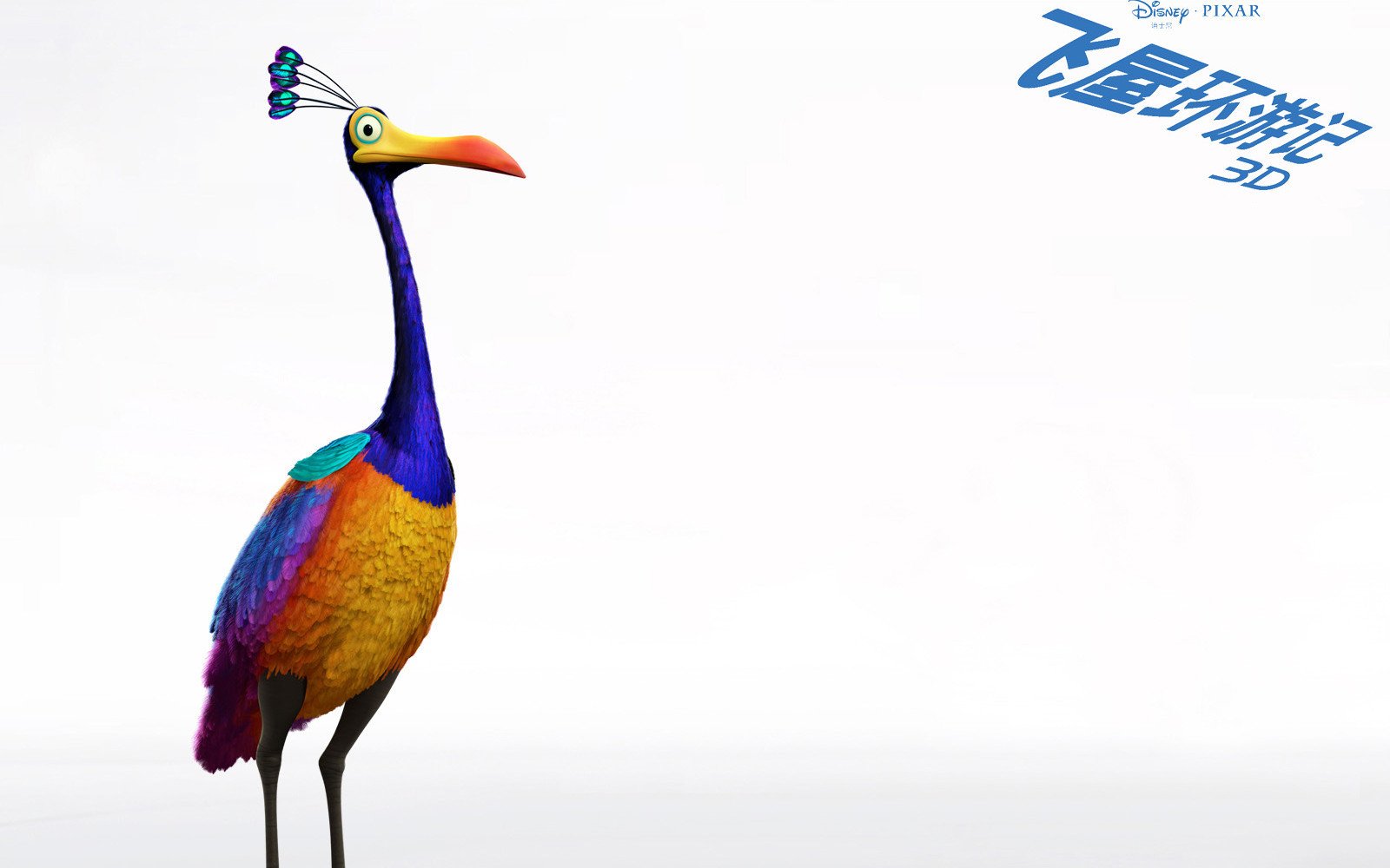 影视,飞屋环游记,一月十一日