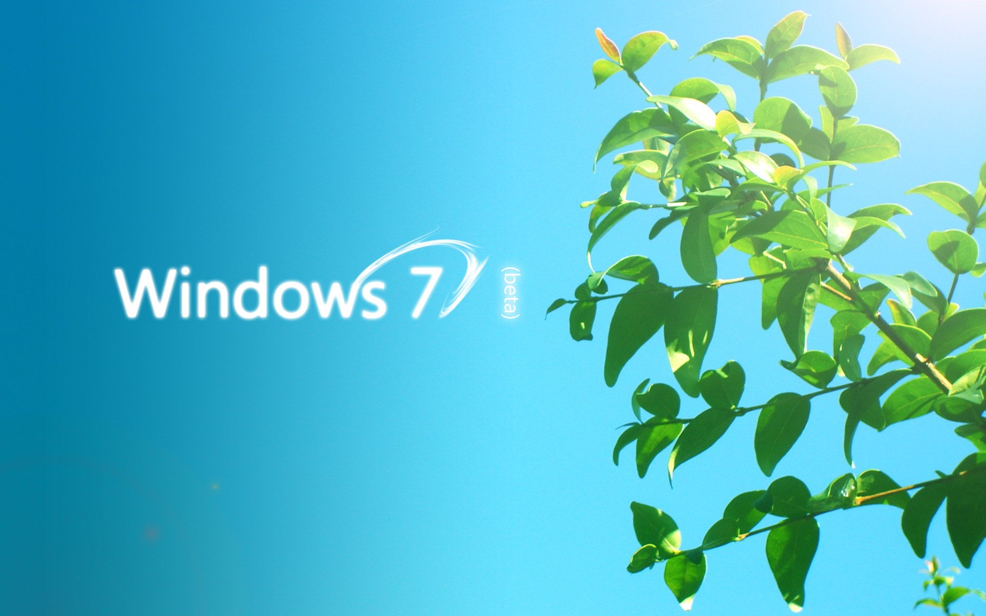 小清新,清新淡雅,1月21日,儿童桌面专用