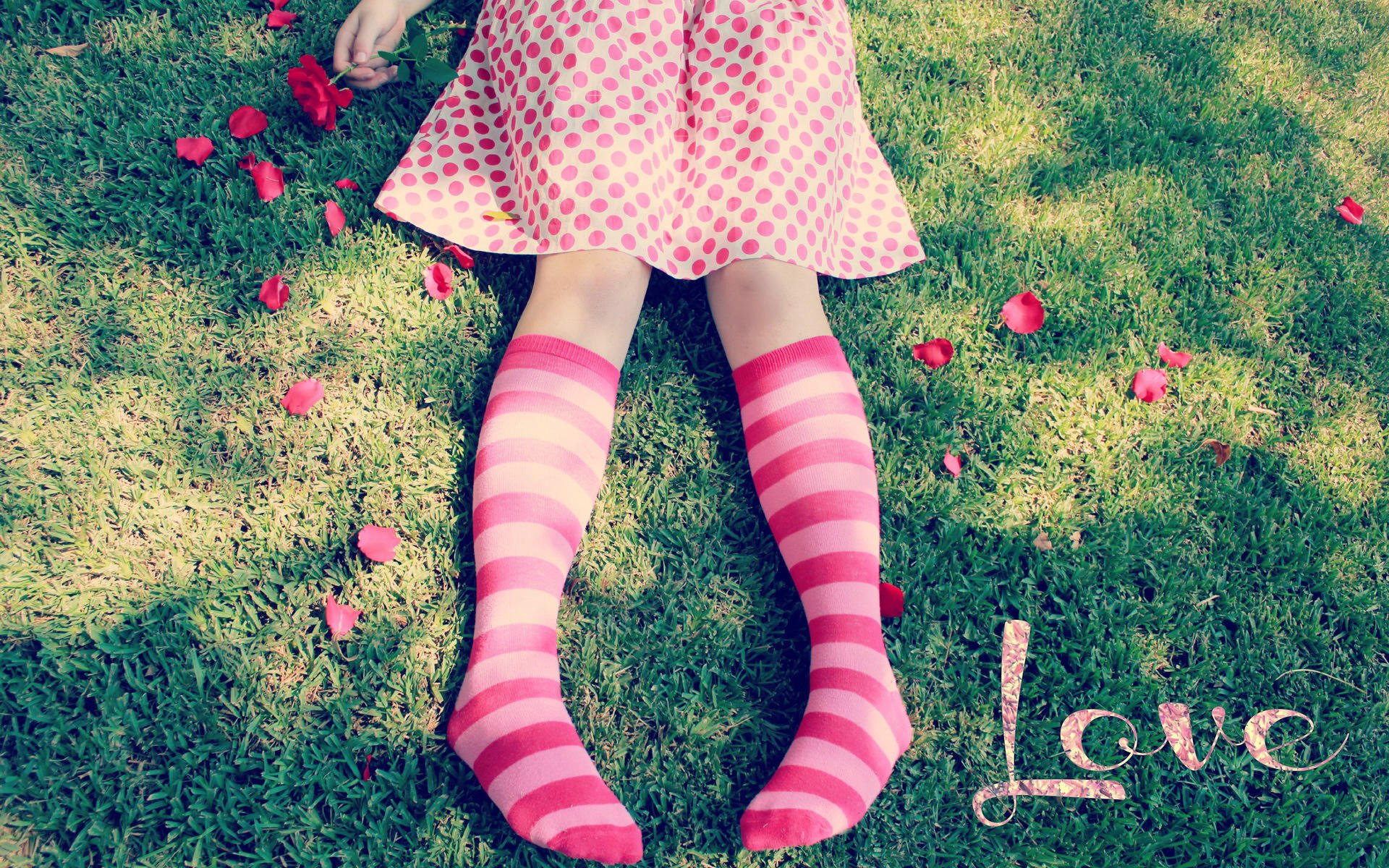 爱情美图,唯美温馨,玫瑰,love,浪漫