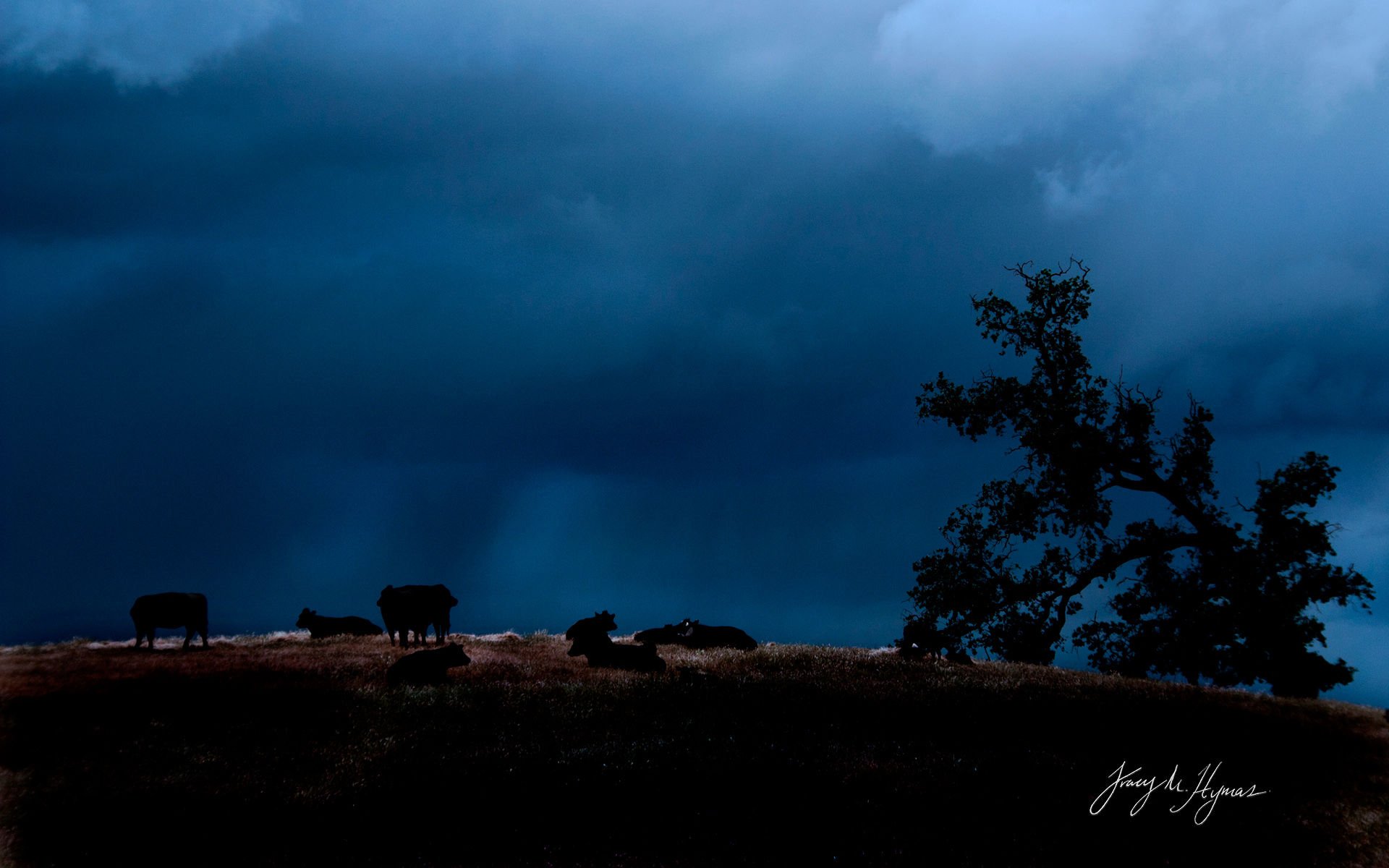 风景,落日余晖,儿童桌面专用