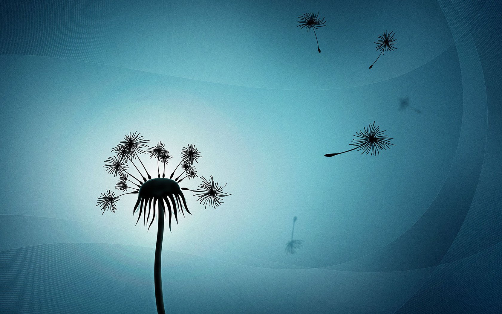 小清新,清新淡雅,蒲公英,1月24日,儿童桌面专用