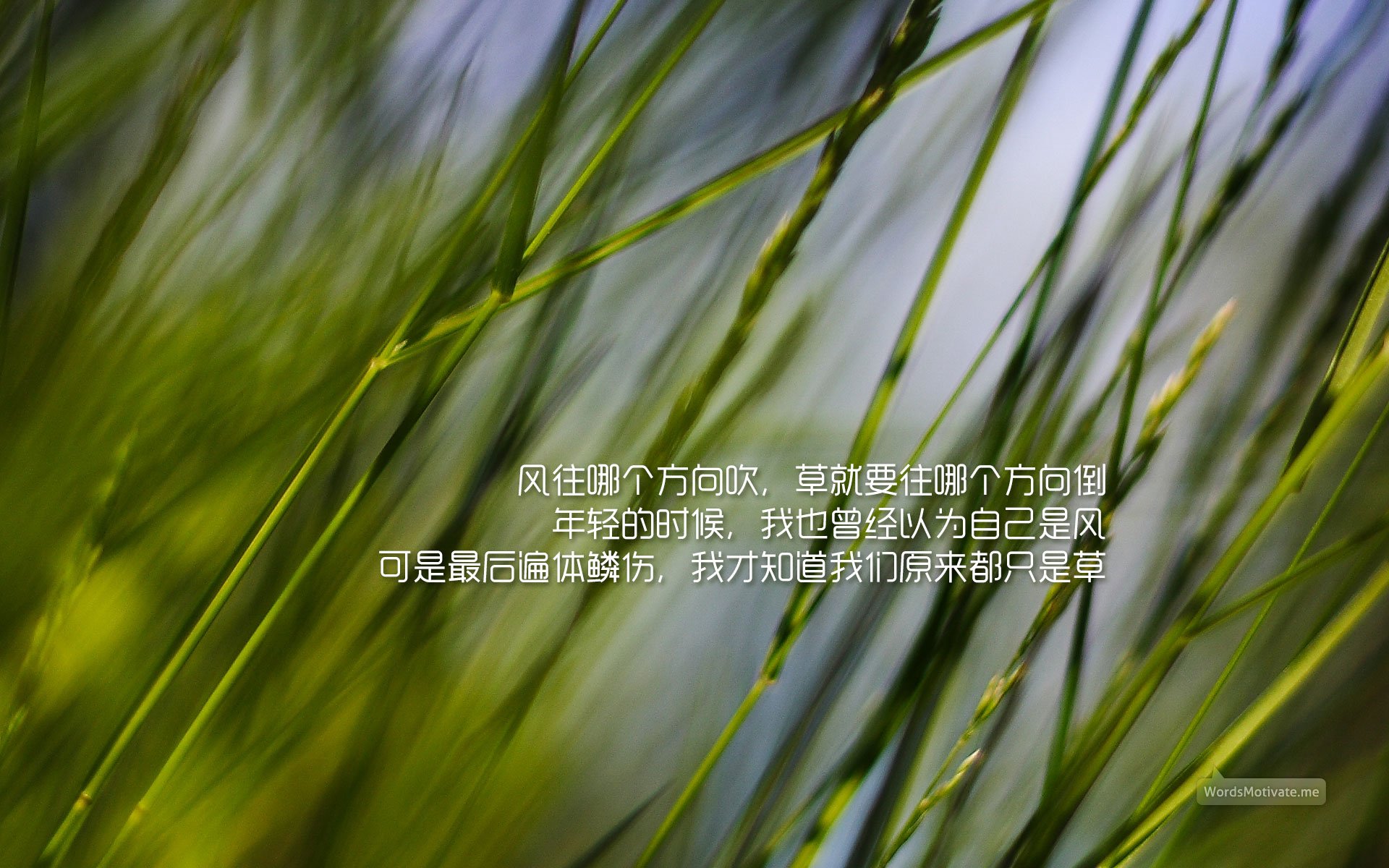 小清新,护眼壁纸,一月一日,儿童桌面专用