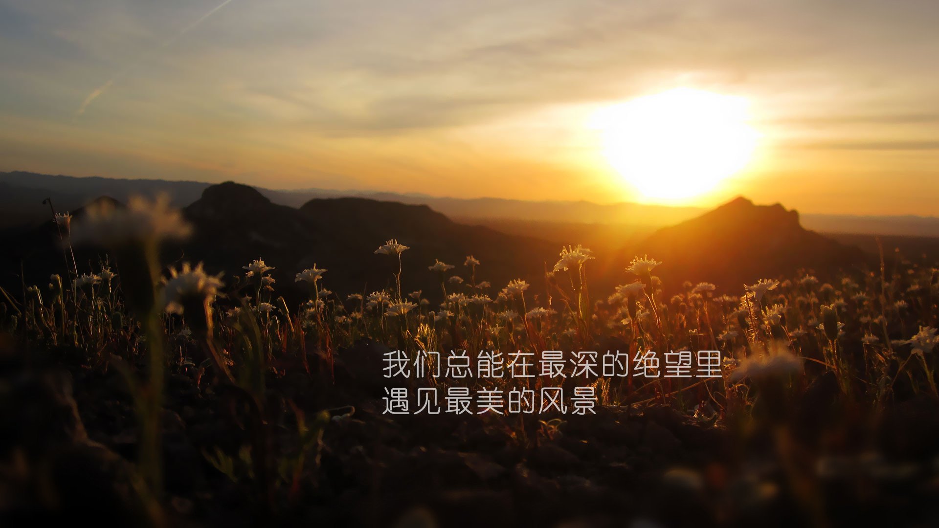 小清新,温馨一刻,励志,1月24日,儿童桌面专用