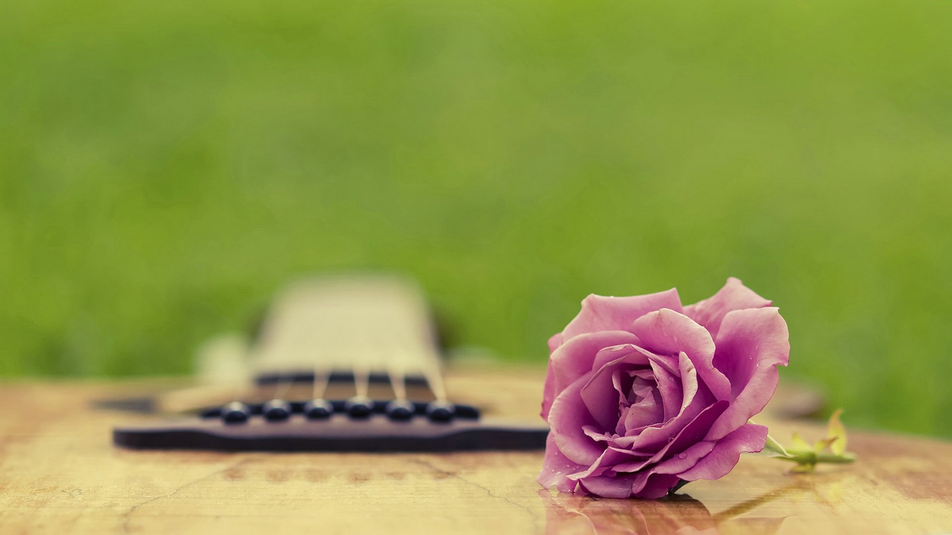 爱情美图,唯美温馨,玫瑰