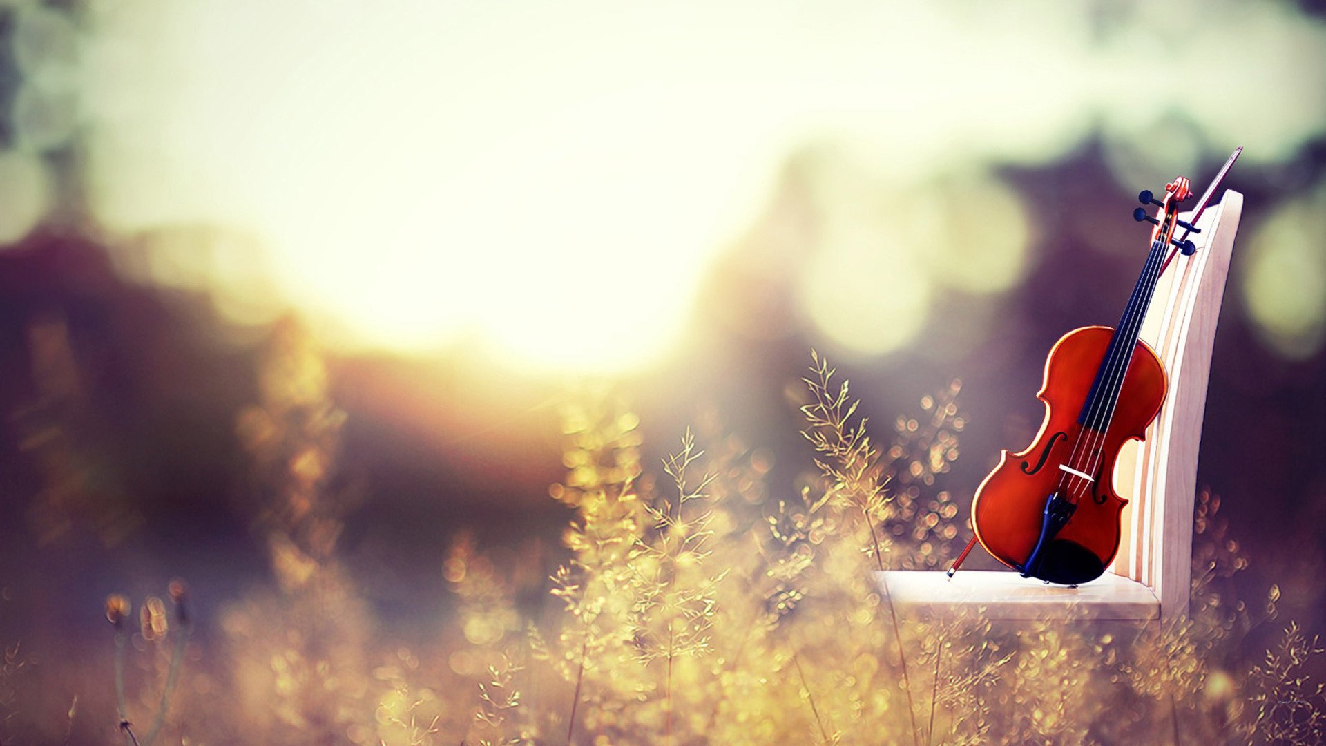 小清新,静物写真,小提琴,1月25日,儿童桌面专用