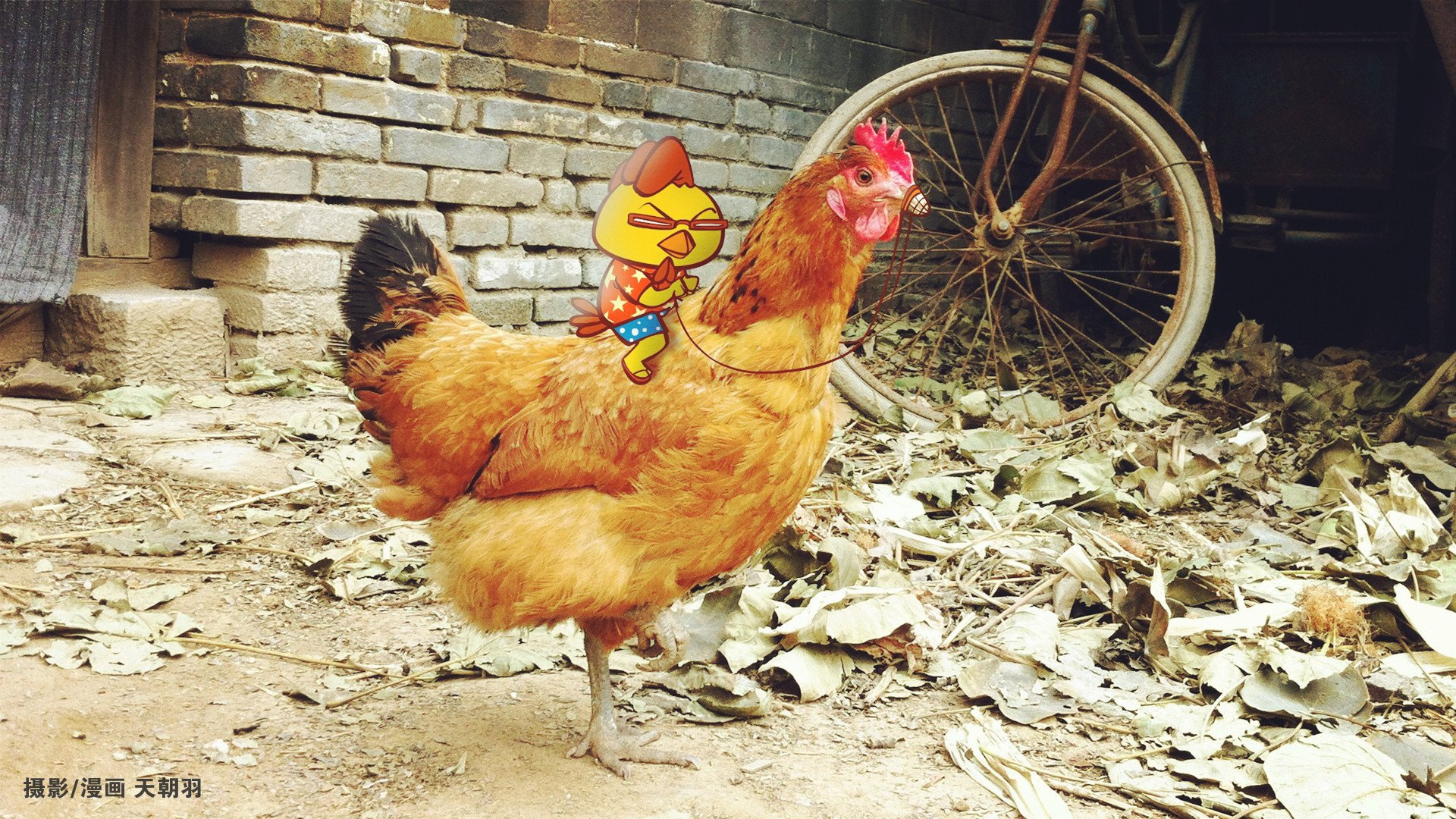 动漫,天朝羽,原创,360壁纸,鸡仔,儿童桌面专用