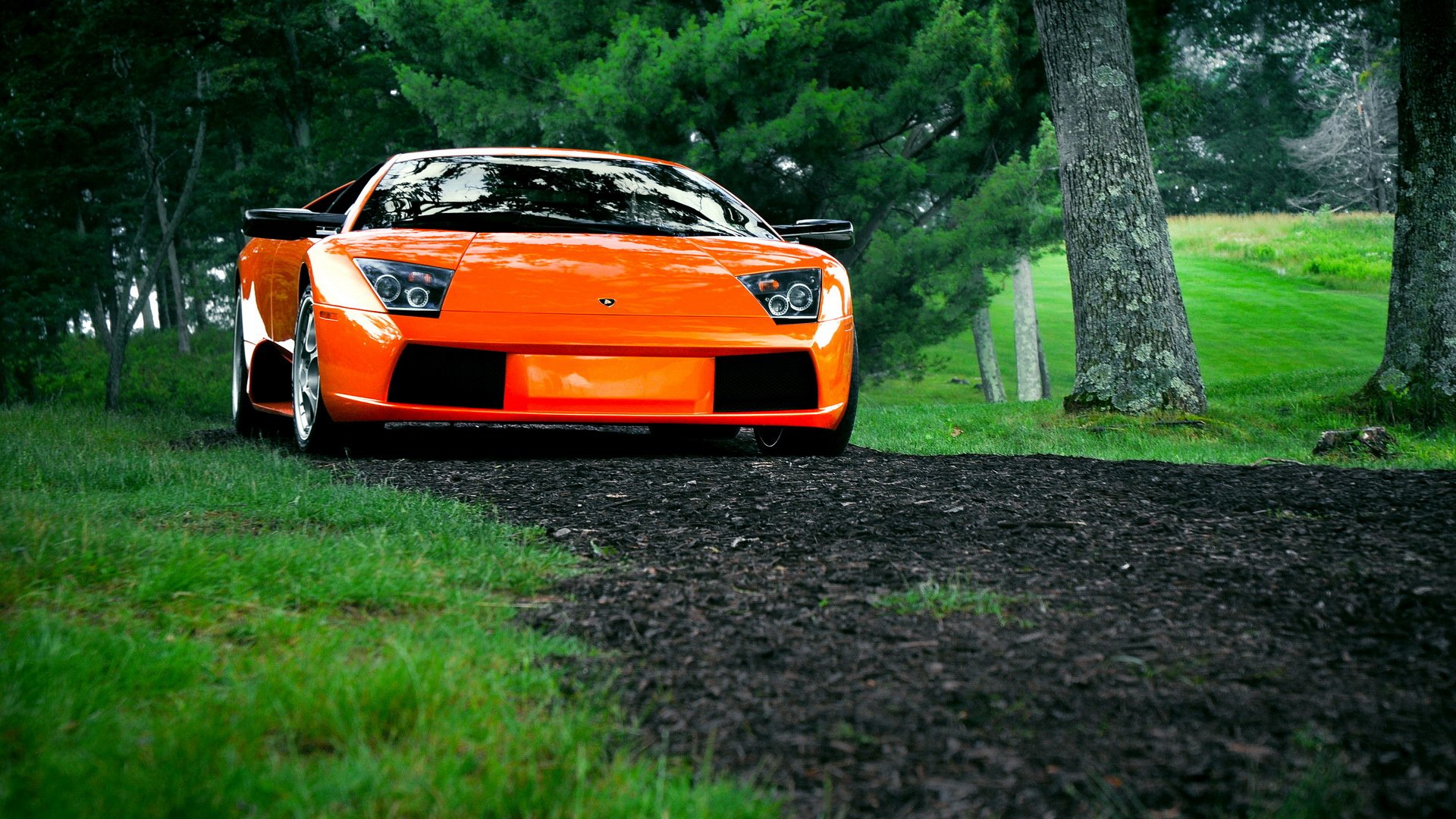 汽车,超跑,兰博基尼,儿童桌面专用