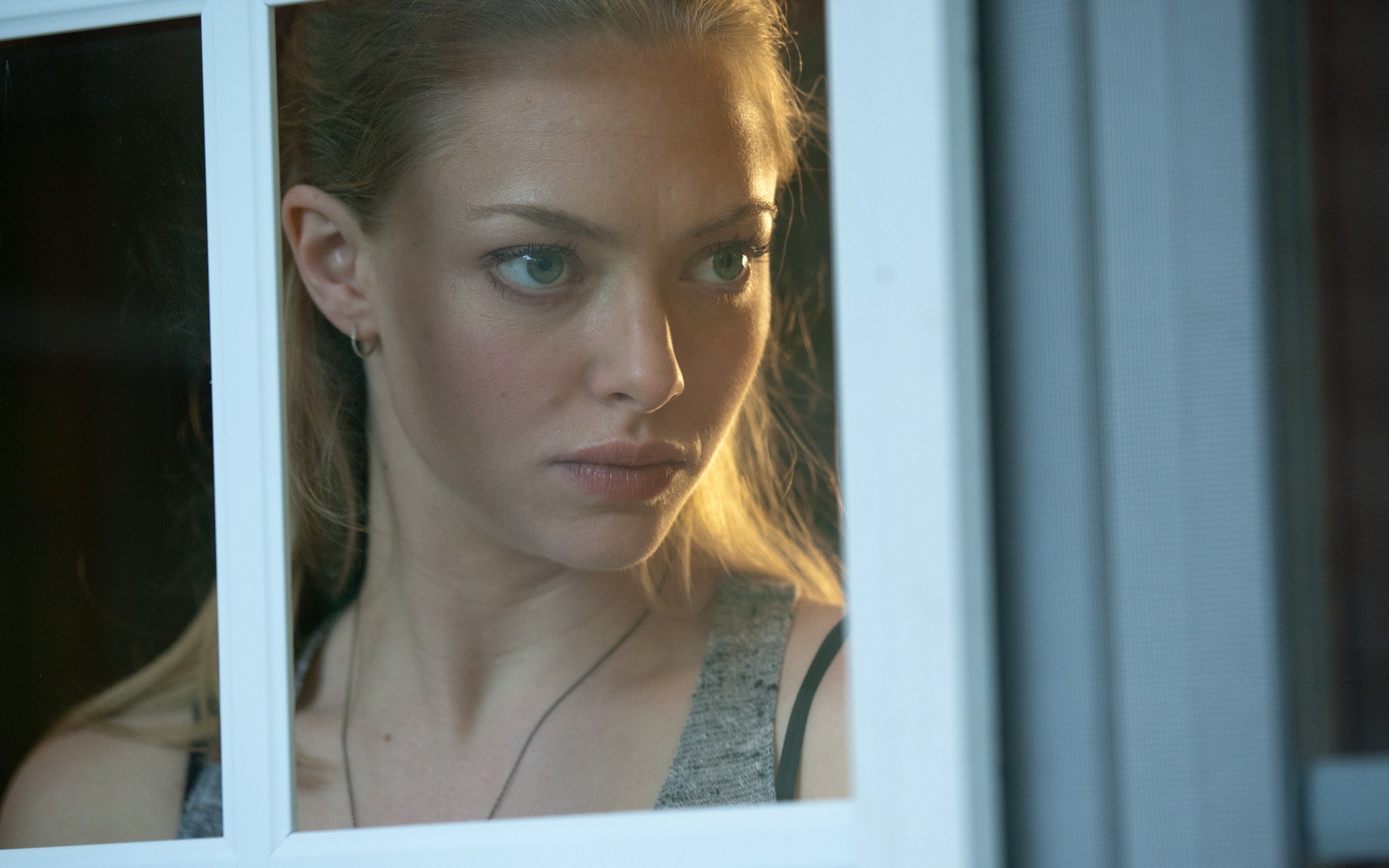 影视,夺命追踪,阿曼达塞弗里德,1月21日