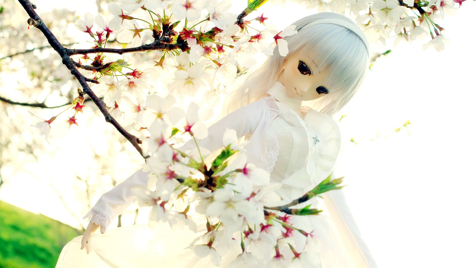 小清新,静物写真,芭比娃娃,一月十日,儿童桌面专用