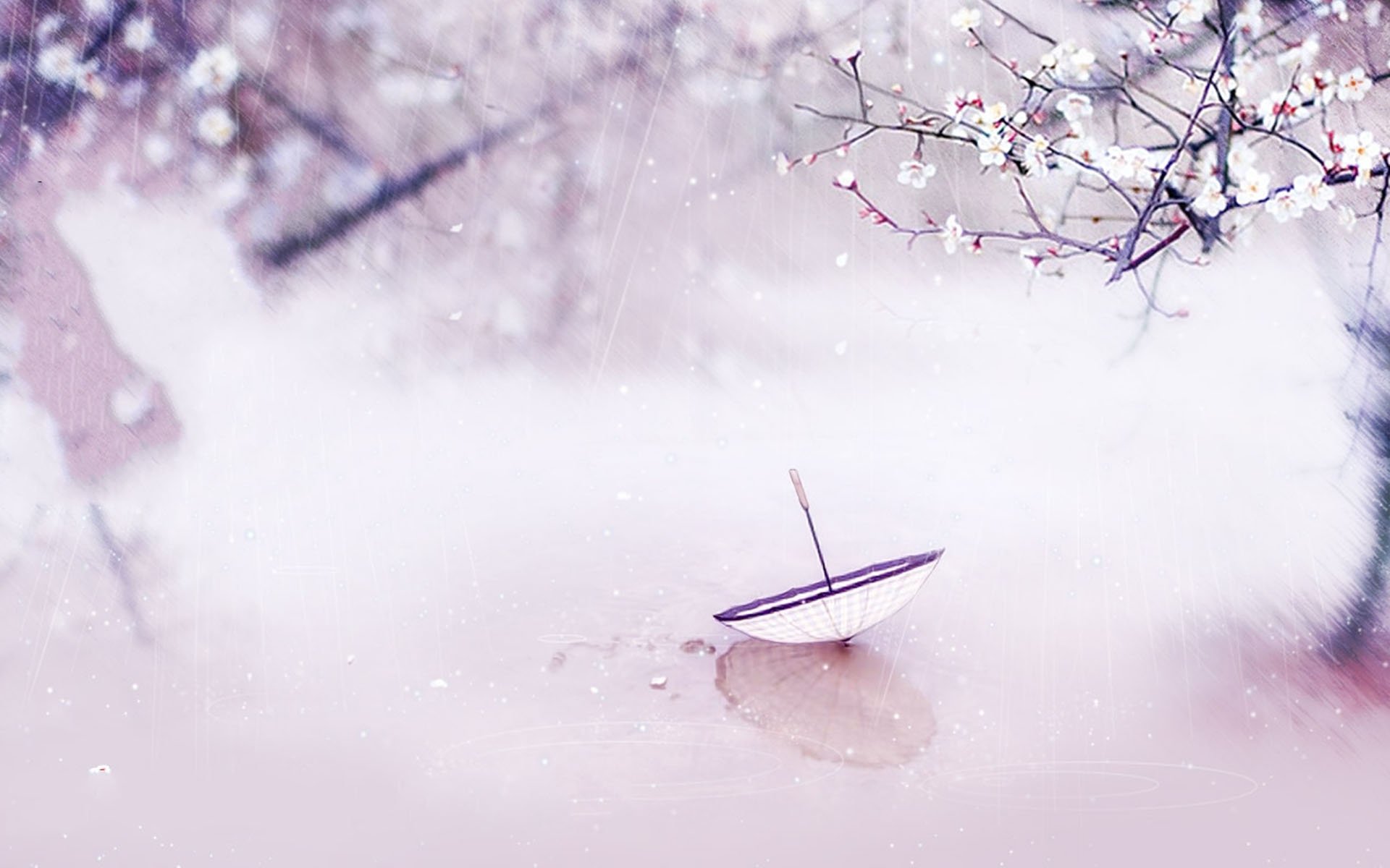 小清新,静物写真,中国风,1月16日,儿童桌面专用