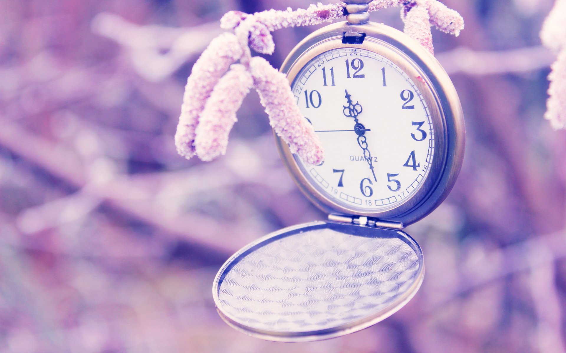 小清新,静物写真,钟表,1月15日,儿童桌面专用