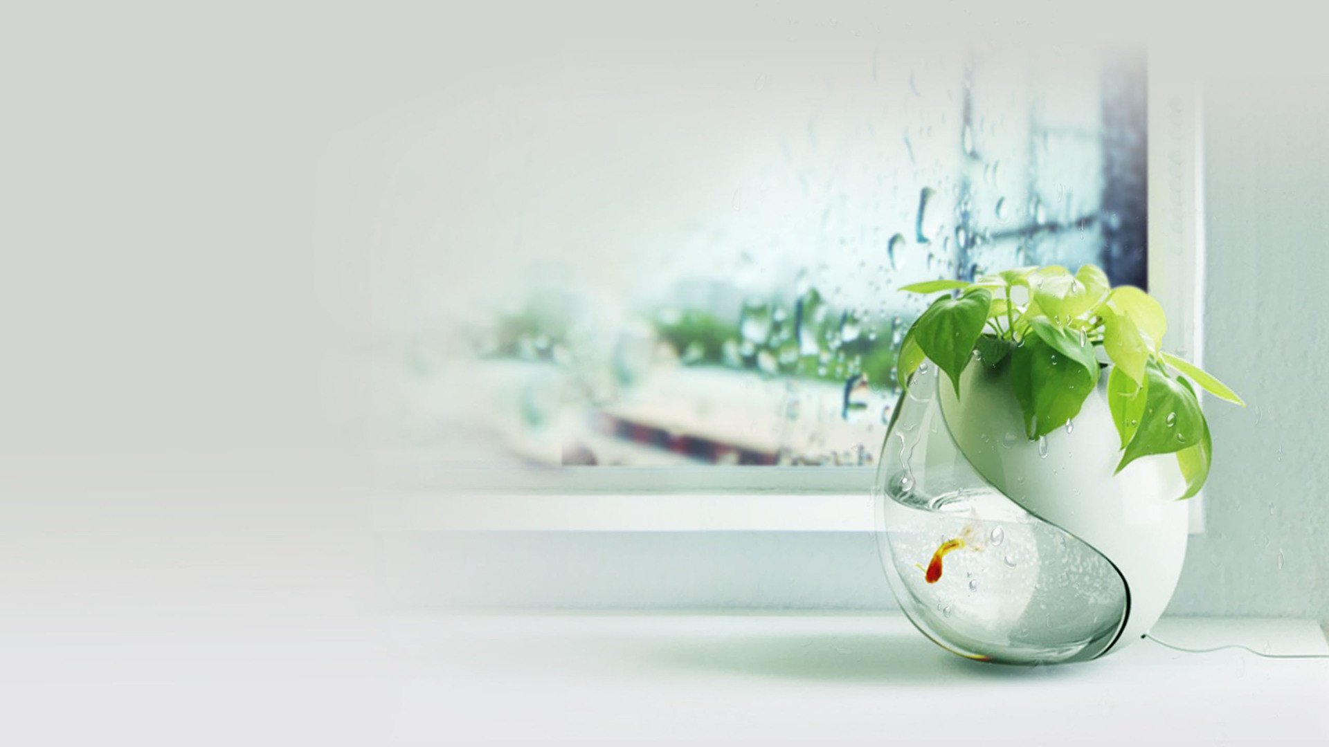 小清新,静物写真,1月25日,儿童桌面专用