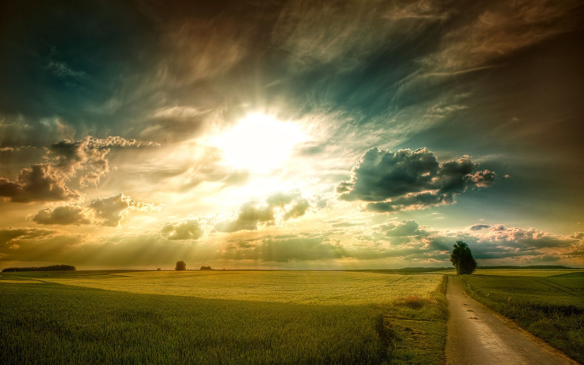 风景,碧绿草原,儿童桌面专用