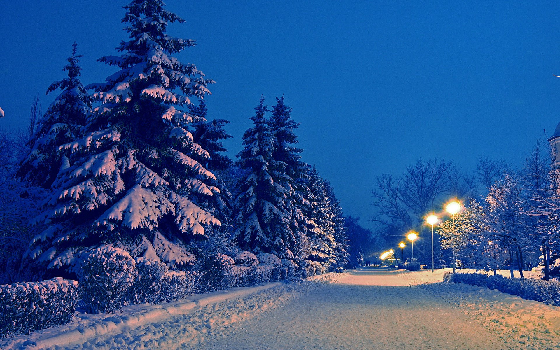 开阔,风景,阳光,大气,旅游,风光,儿童桌面专用