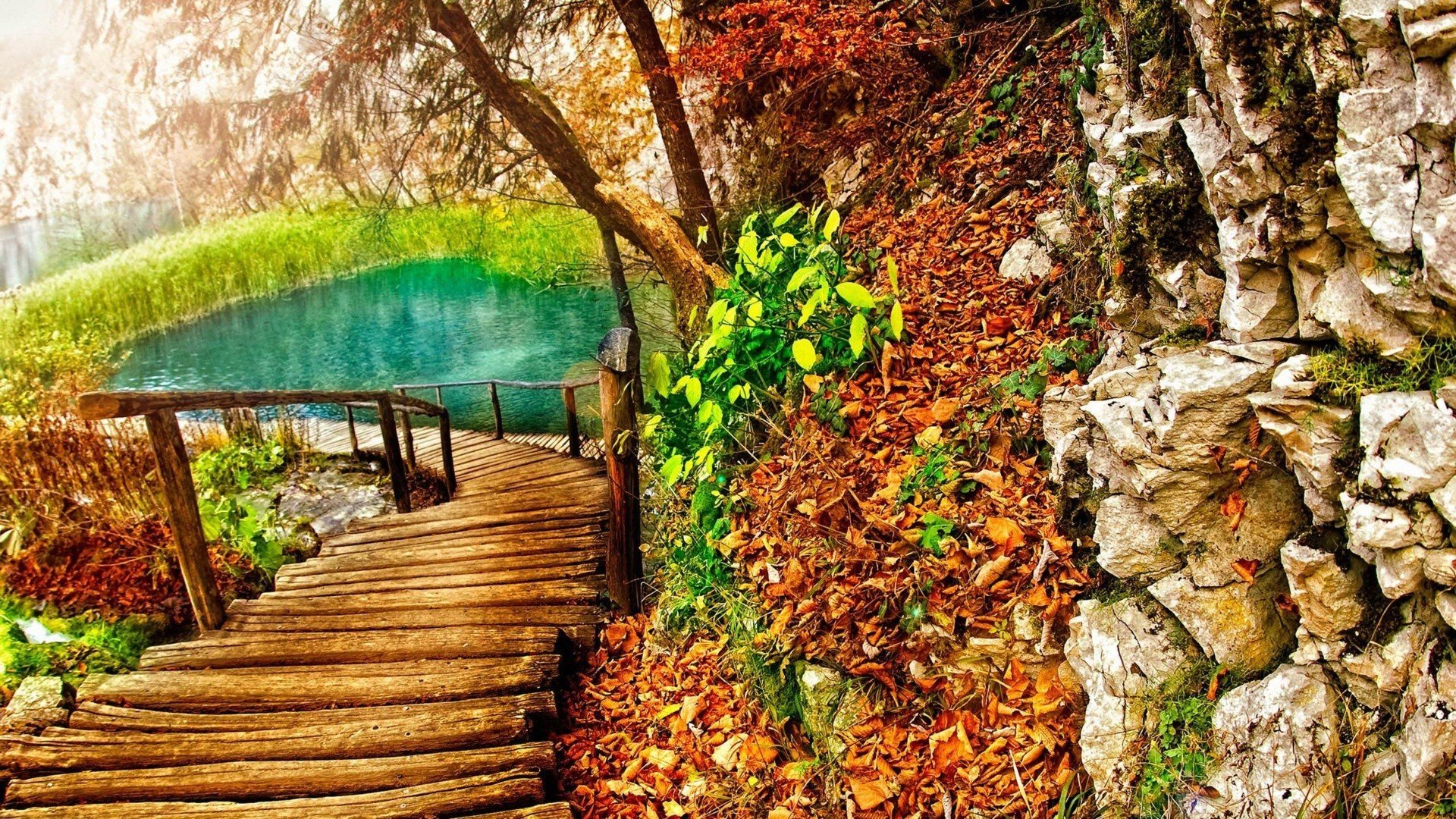 壮丽,风光,美景,旅游,自然,开阔风景,儿童桌面专用