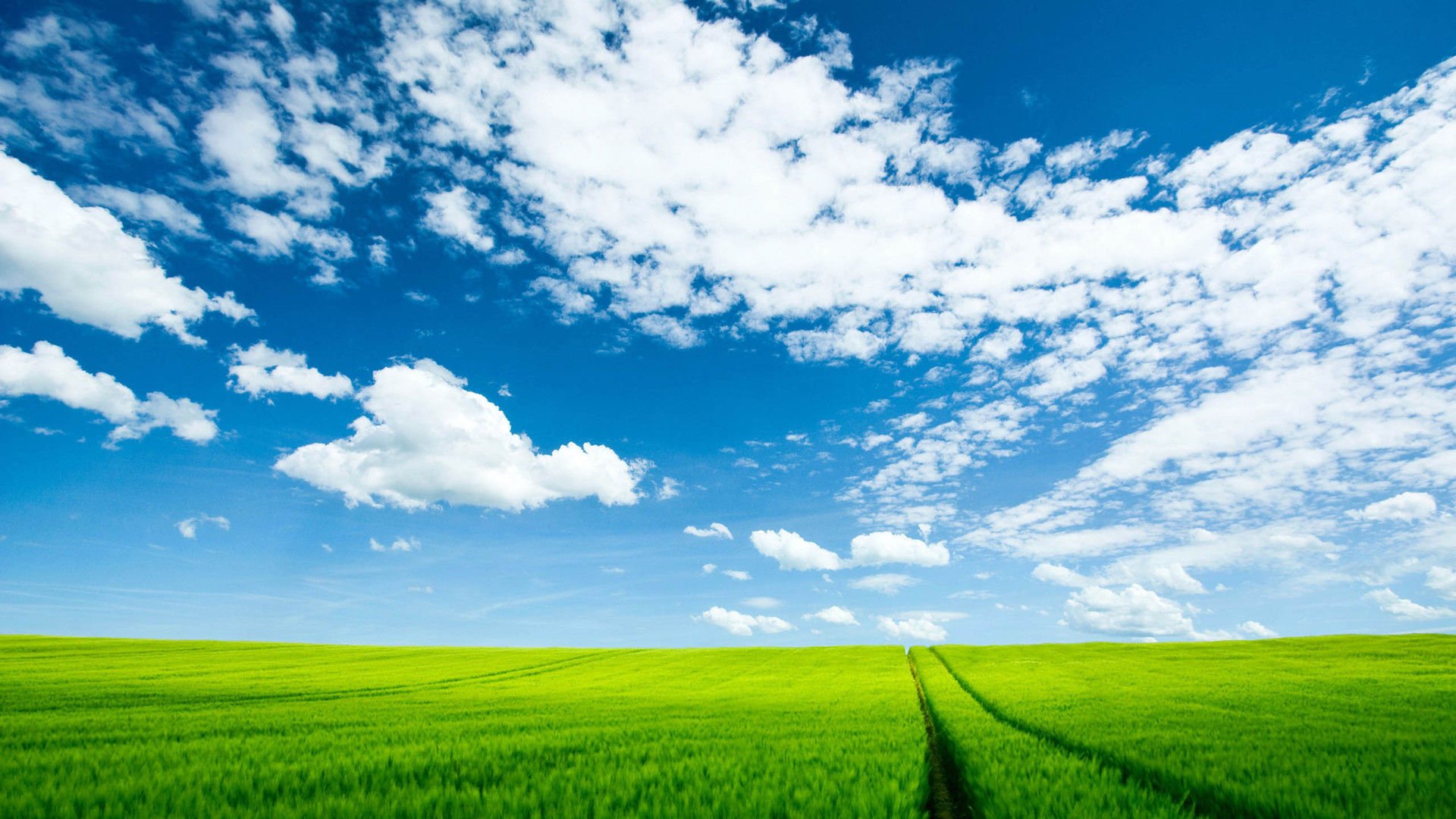 开阔,风景,阳光,大气,风光,碧绿草原,儿童桌面专用