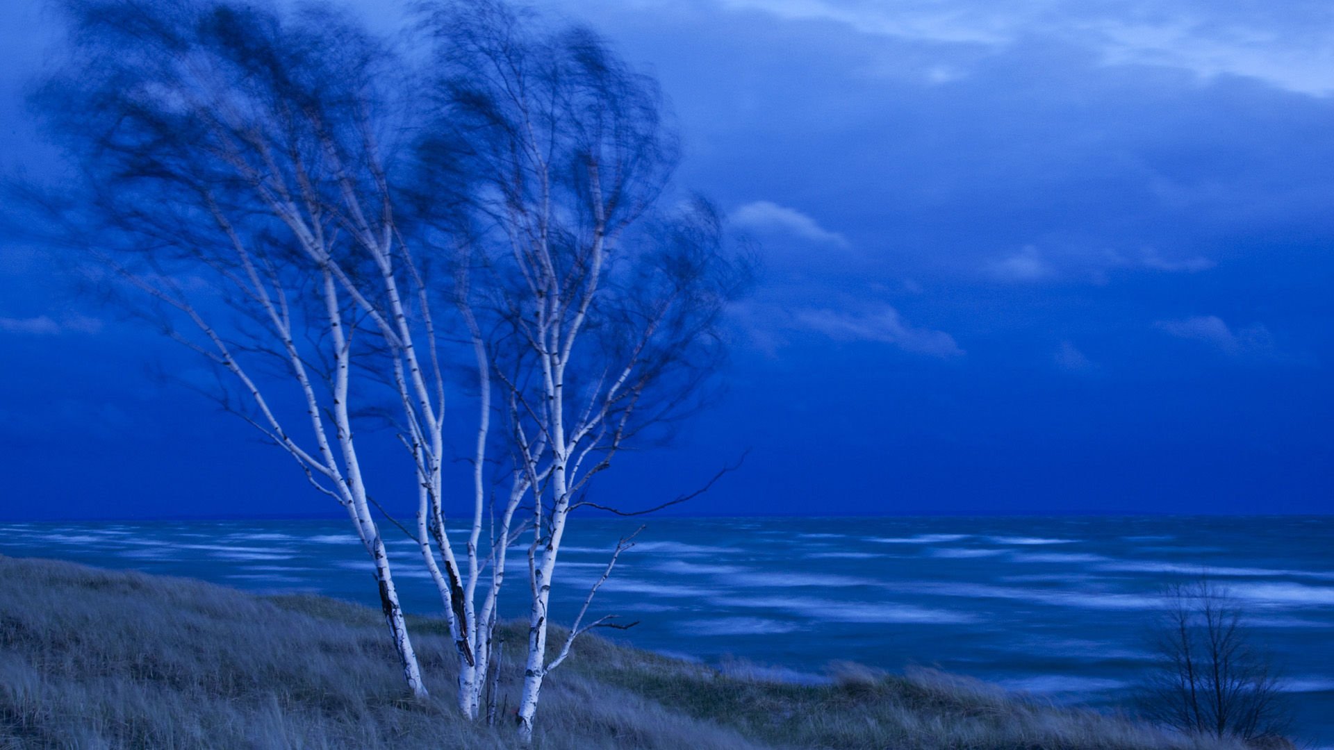 风景,海洋天堂,儿童桌面专用