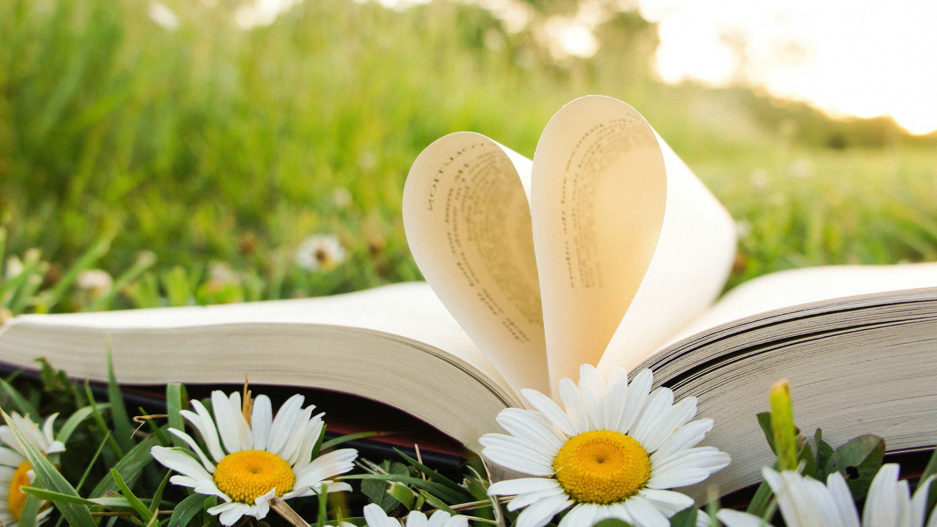 爱情美图,唯美温馨,书,爱心