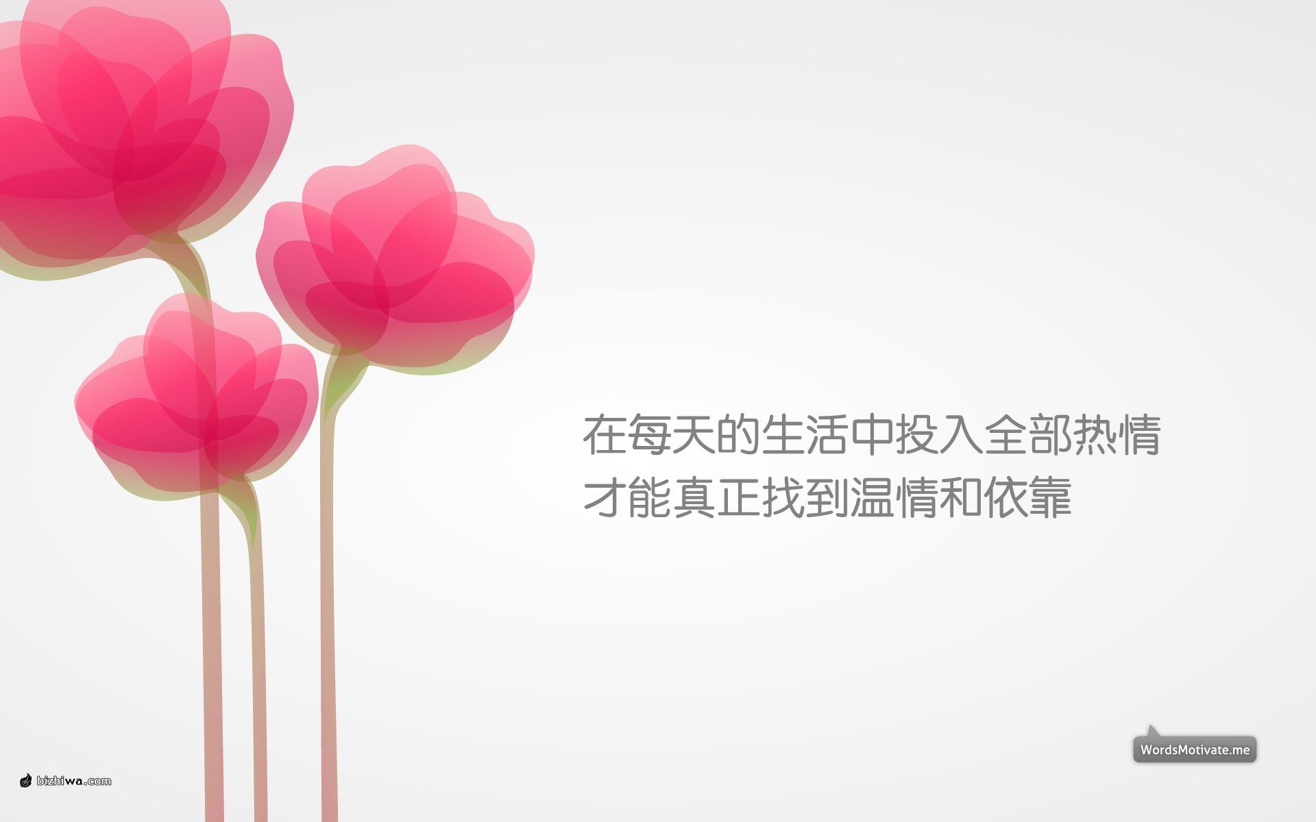 小清新,清新淡雅,花卉,一月五日,儿童桌面专用