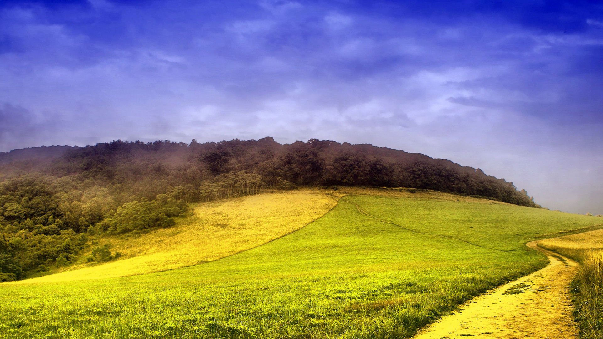 开阔,风景,阳光,大气,风光,碧绿草原,儿童桌面专用
