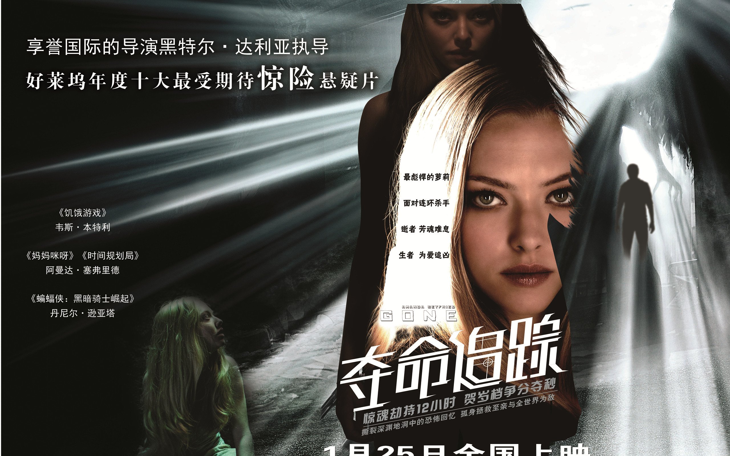 影视,夺命追踪,阿曼达塞弗里德,1月21日