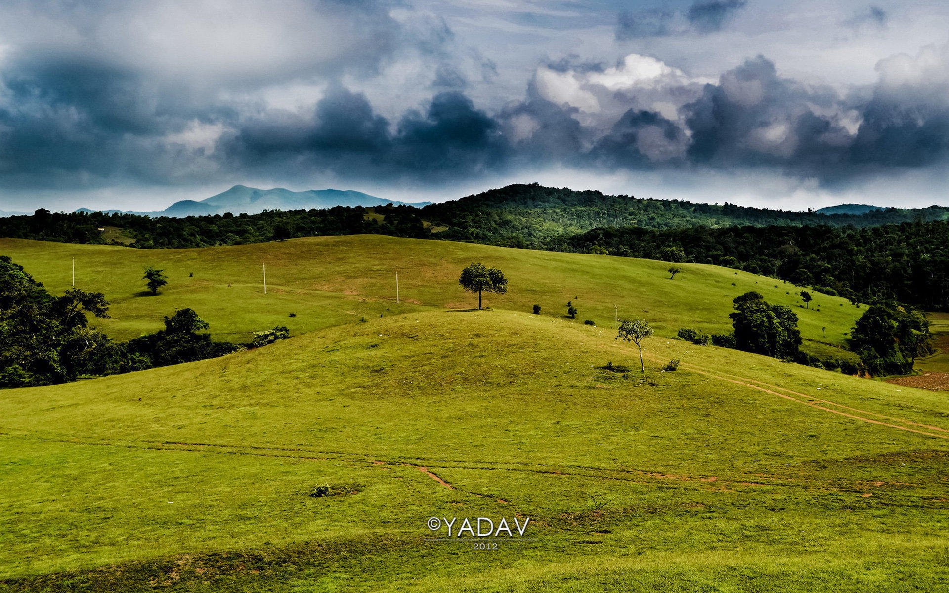 风景,碧绿草原,儿童桌面专用