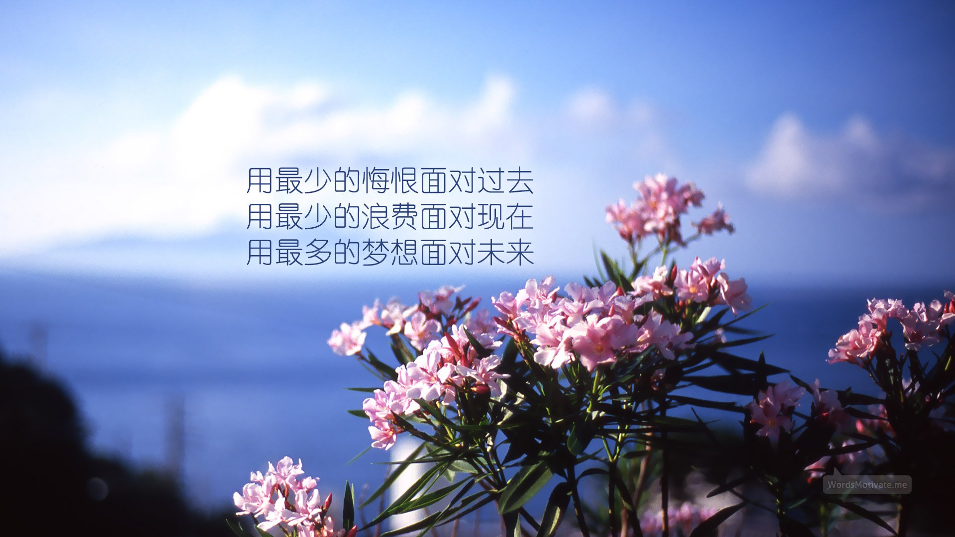 小清新,鸟语花香,花卉,一月六日,儿童桌面专用