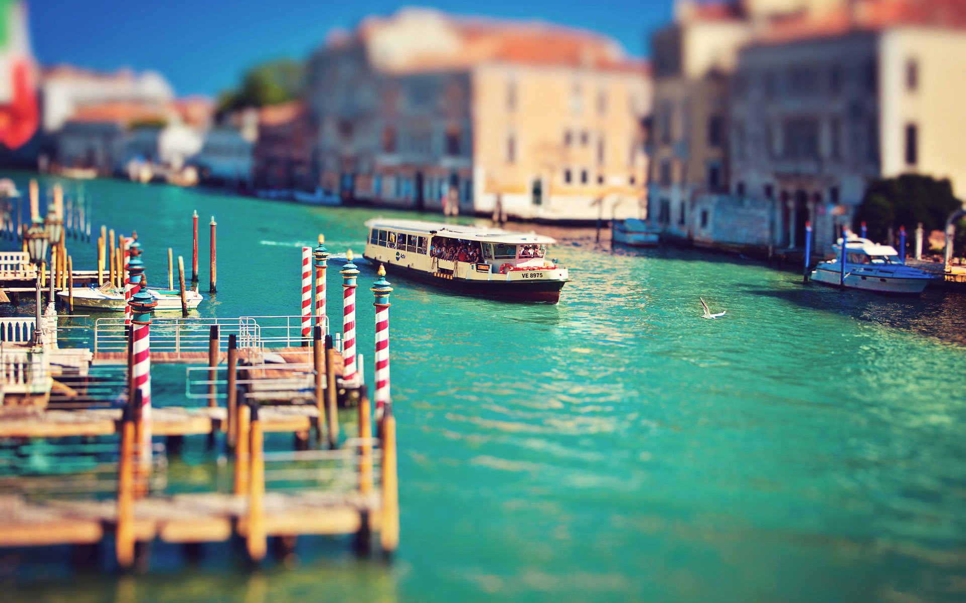 开阔,风景,阳光,大气,旅游,威尼斯,海上威尼斯,浪漫之都,儿童桌面专用