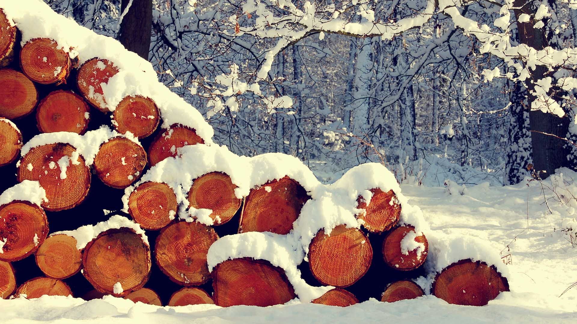 小清新,静物写真,木头,木材,1月17日,儿童桌面专用