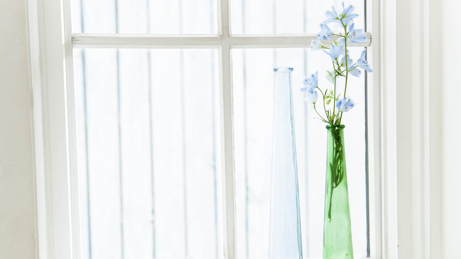 小清新,静物写真,花瓶,1月18日,儿童桌面专用