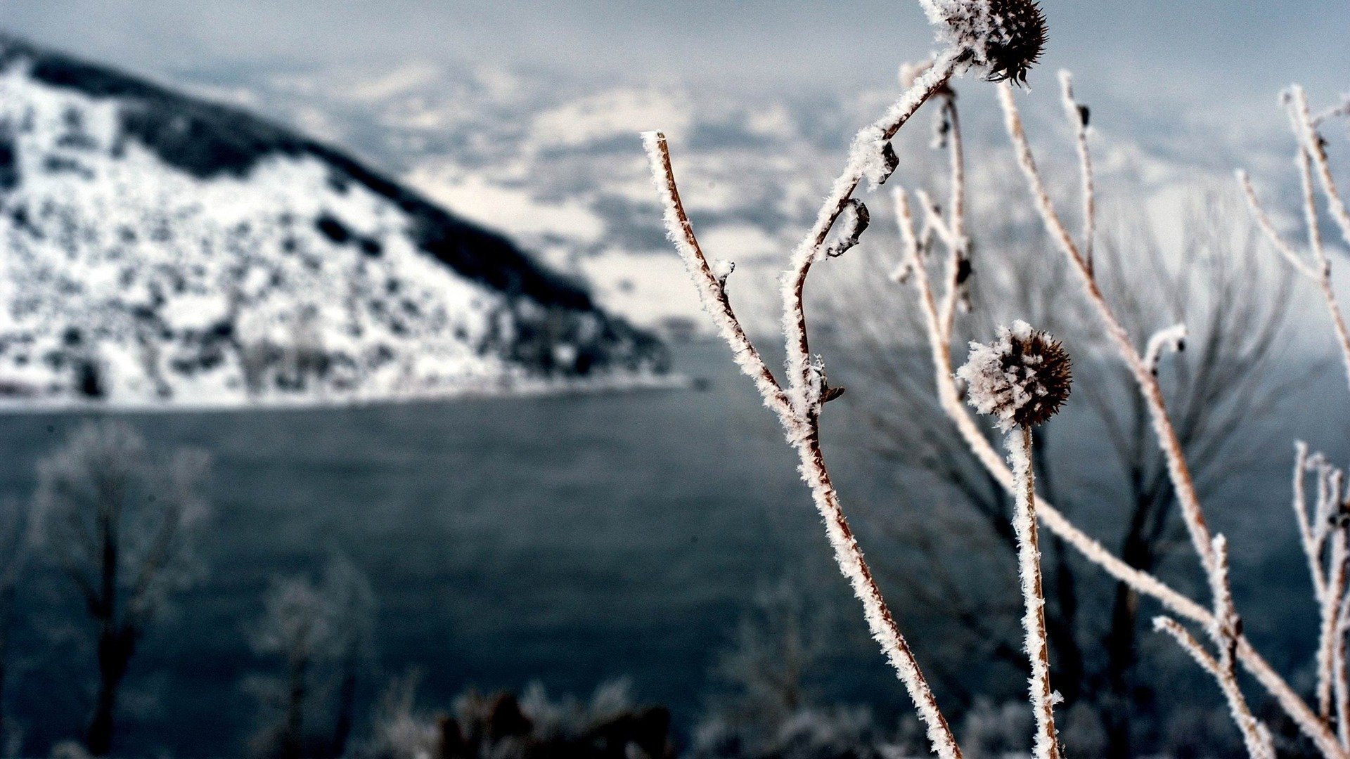 小清新,清新淡雅,1月28日,儿童桌面专用