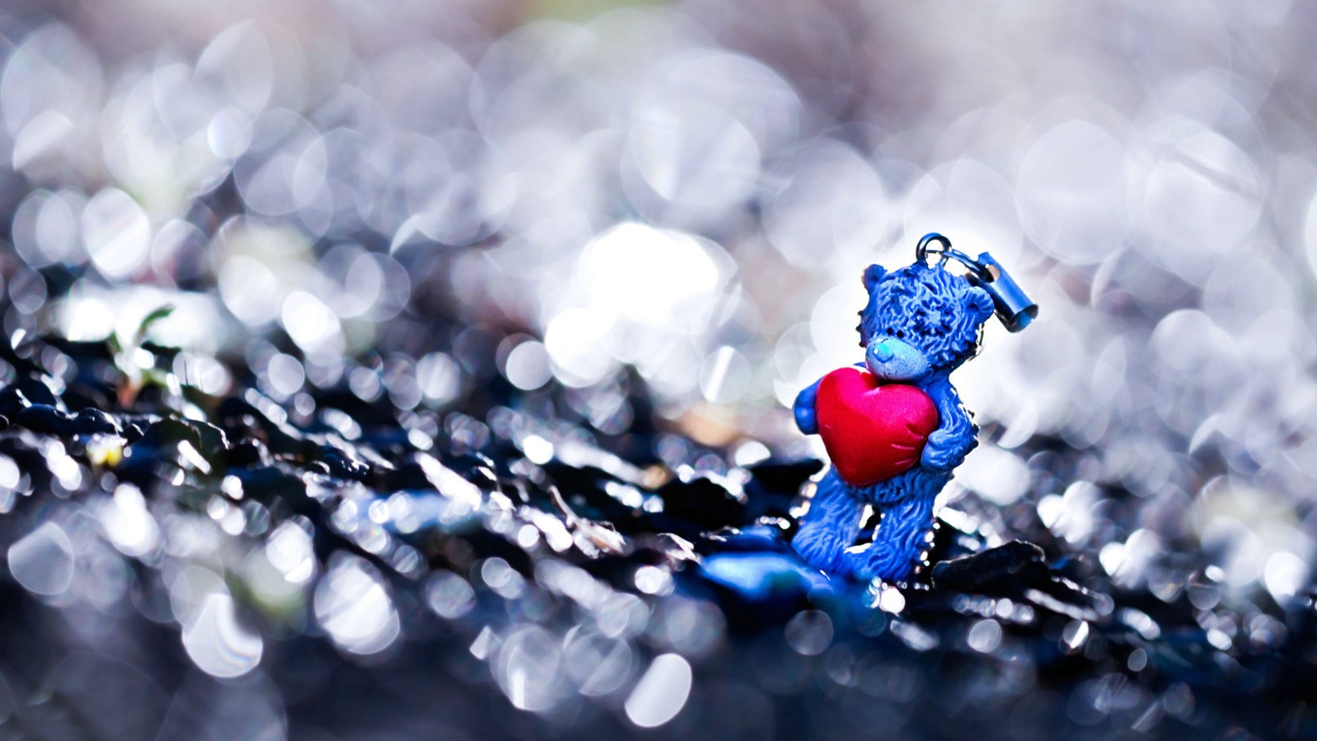 爱情美图,唯美温馨,小熊,可爱