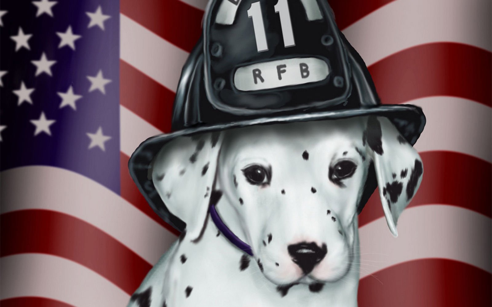 萌宠,汪星人,狗,卖萌,古灵精怪,可爱,儿童桌面专用