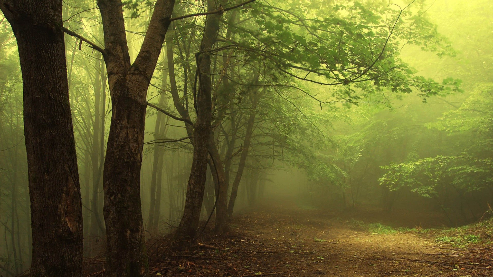 风景,风光,美景,旅游,自然,开阔风景,儿童桌面专用